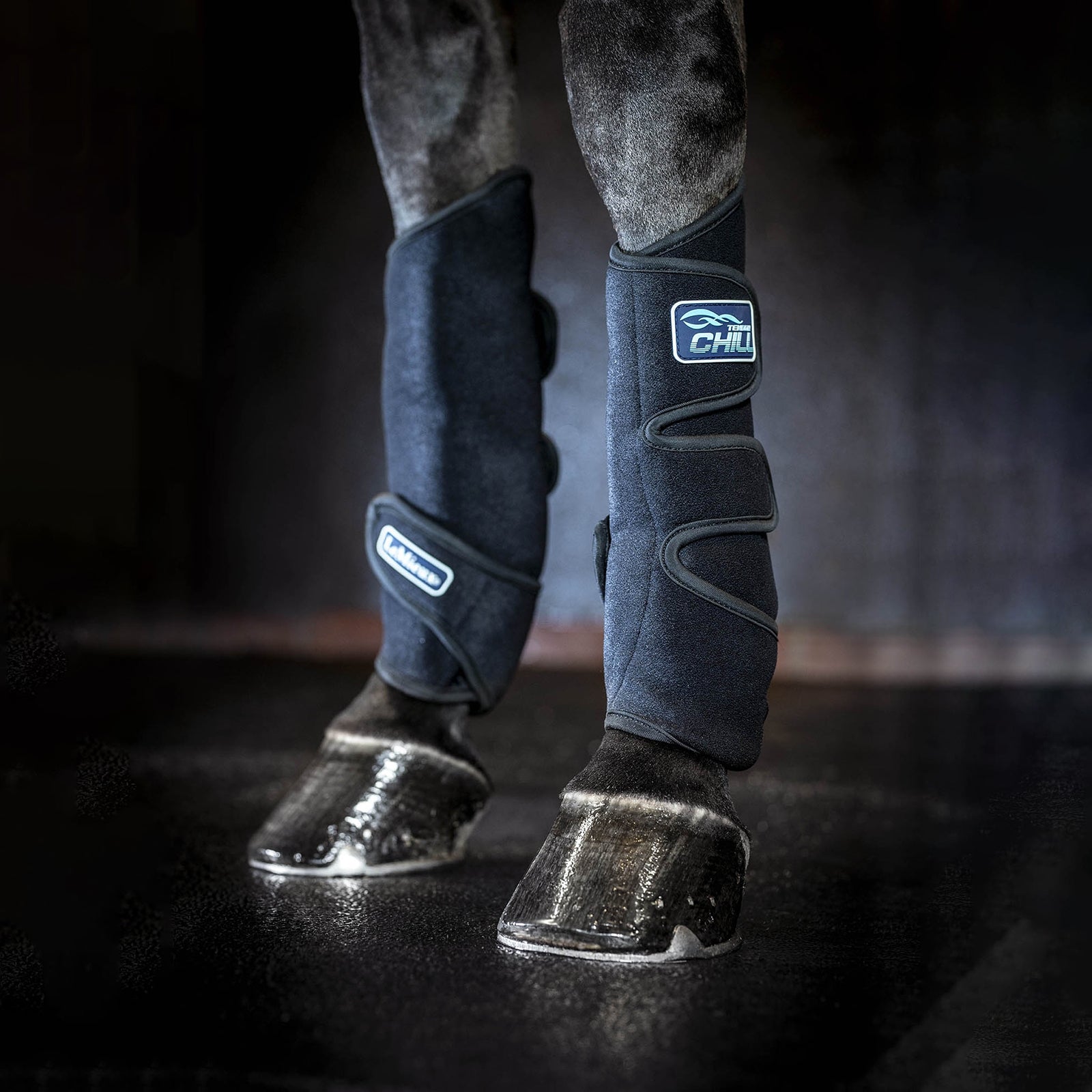 LeMieux Tendon Chill Bootss Leg & Hoof Protection