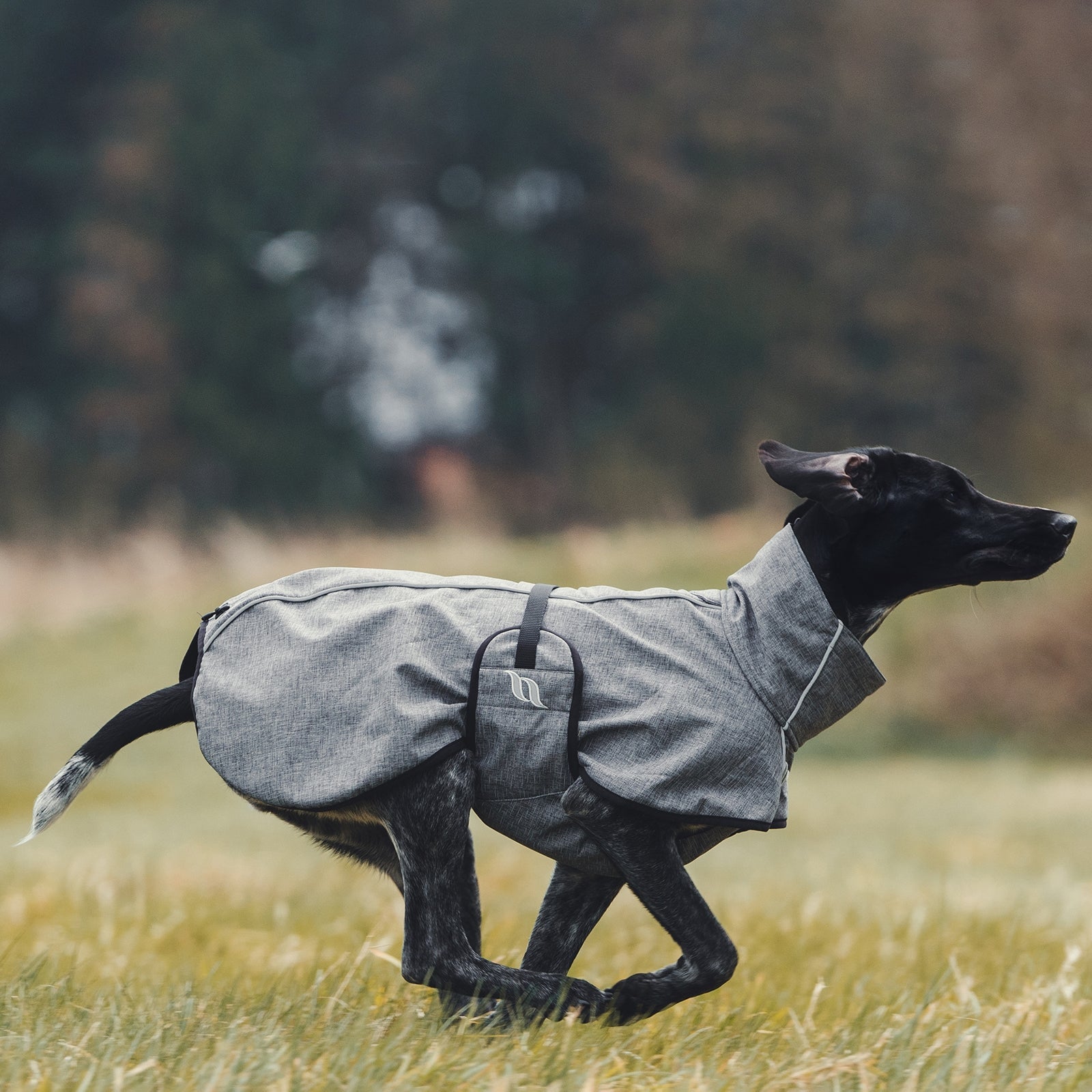 Back on Track Bark All-Round Dog Coat, 55-65cm Dog Accesories