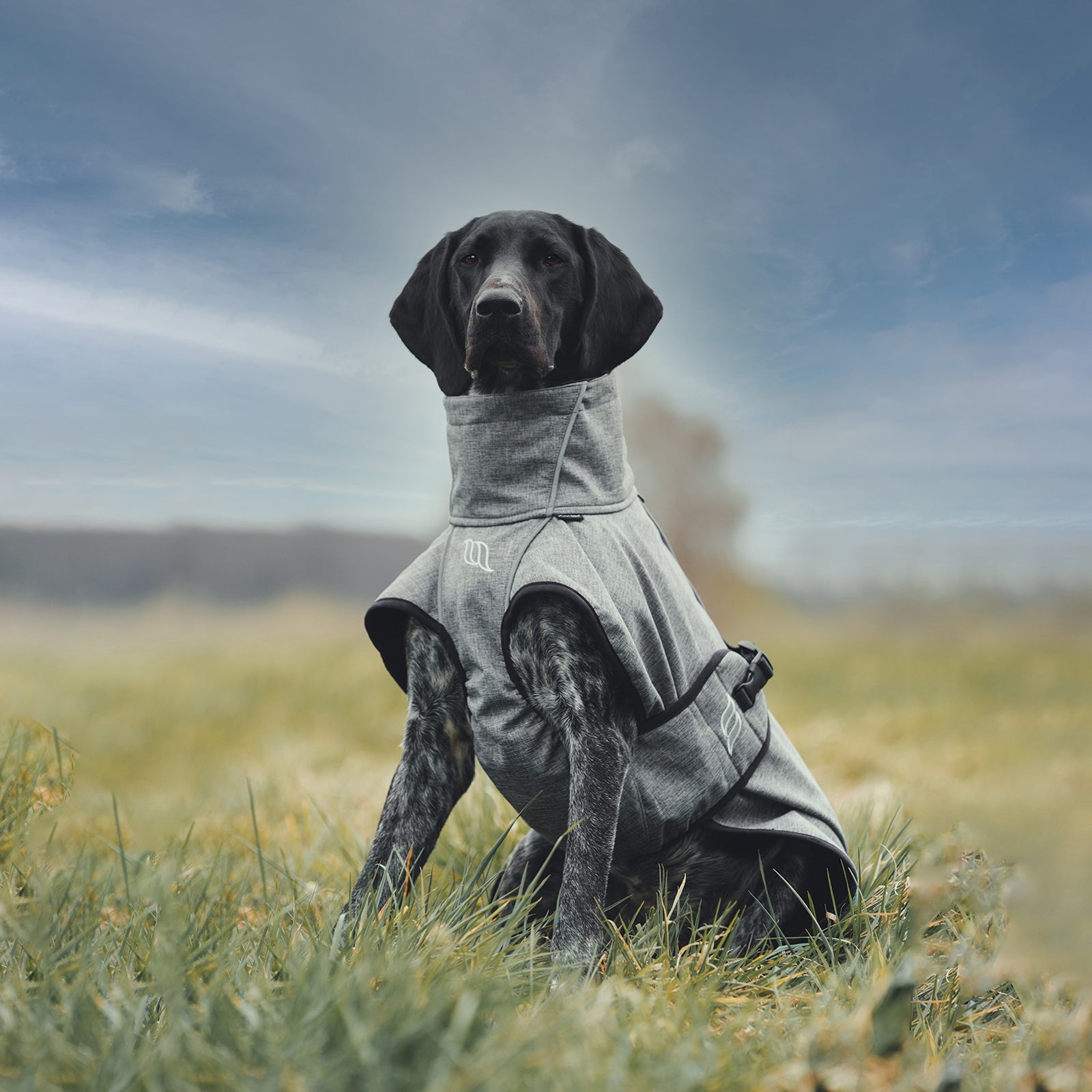 Back on Track Nella All-Round Dog Coat, 40-50cm Dog Accesories