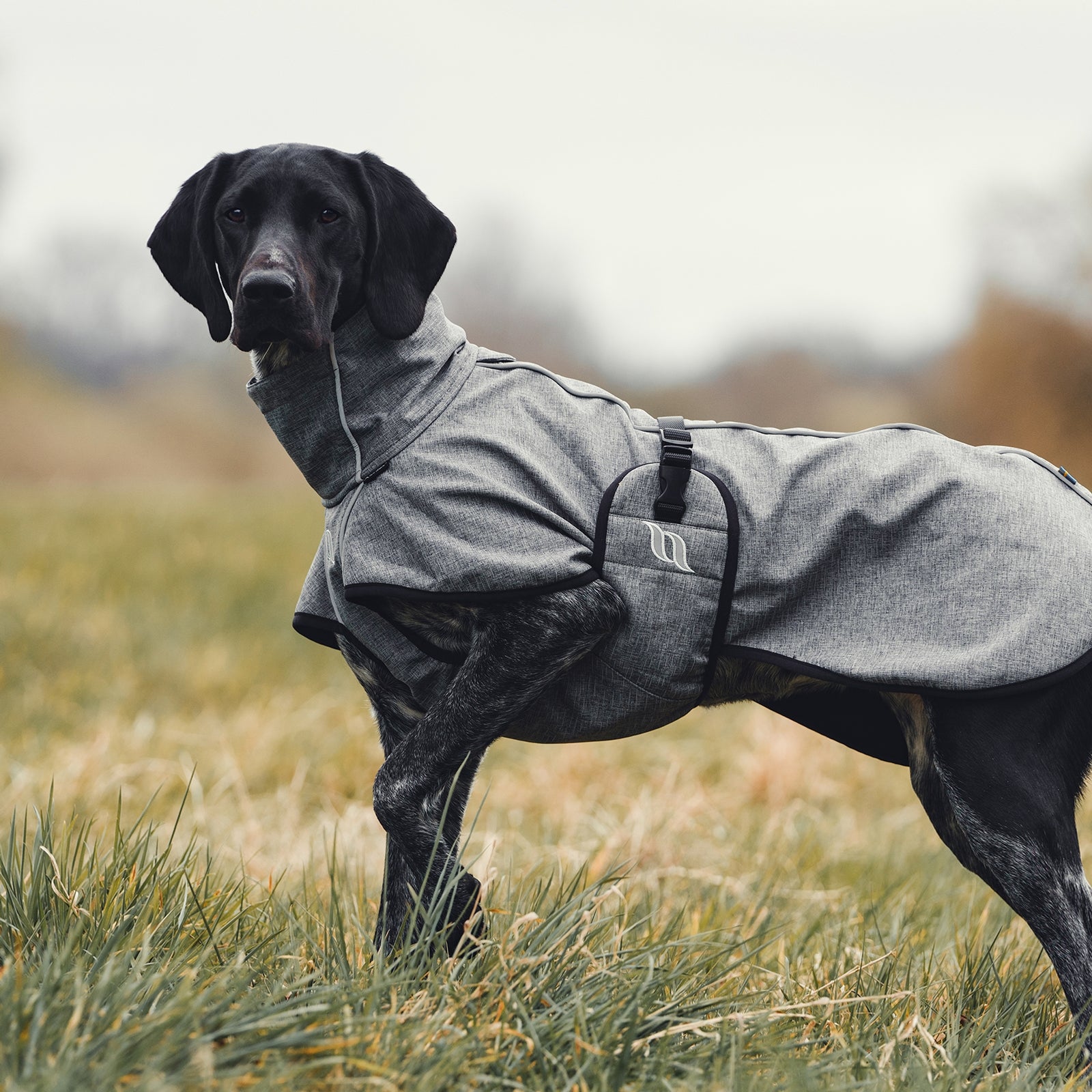 Back on Track Nella All-Round Dog Coat, 40-50cm Dog Accesories