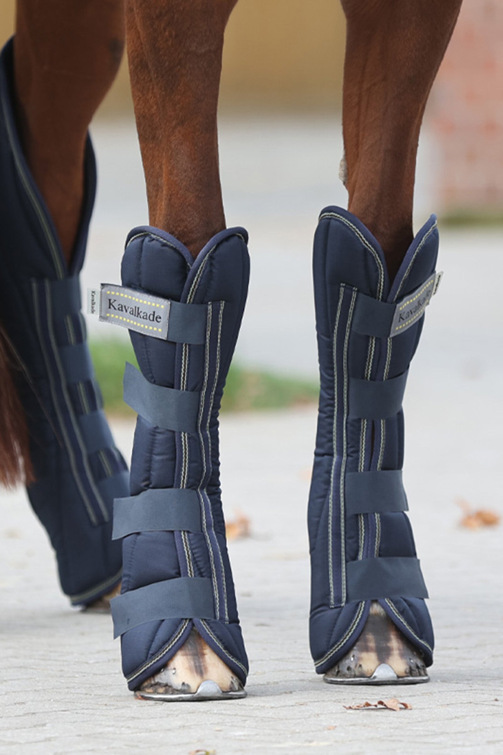 Kavalkade Montreal Travelling Boots (Set of 4) Leg & Hoof Protection