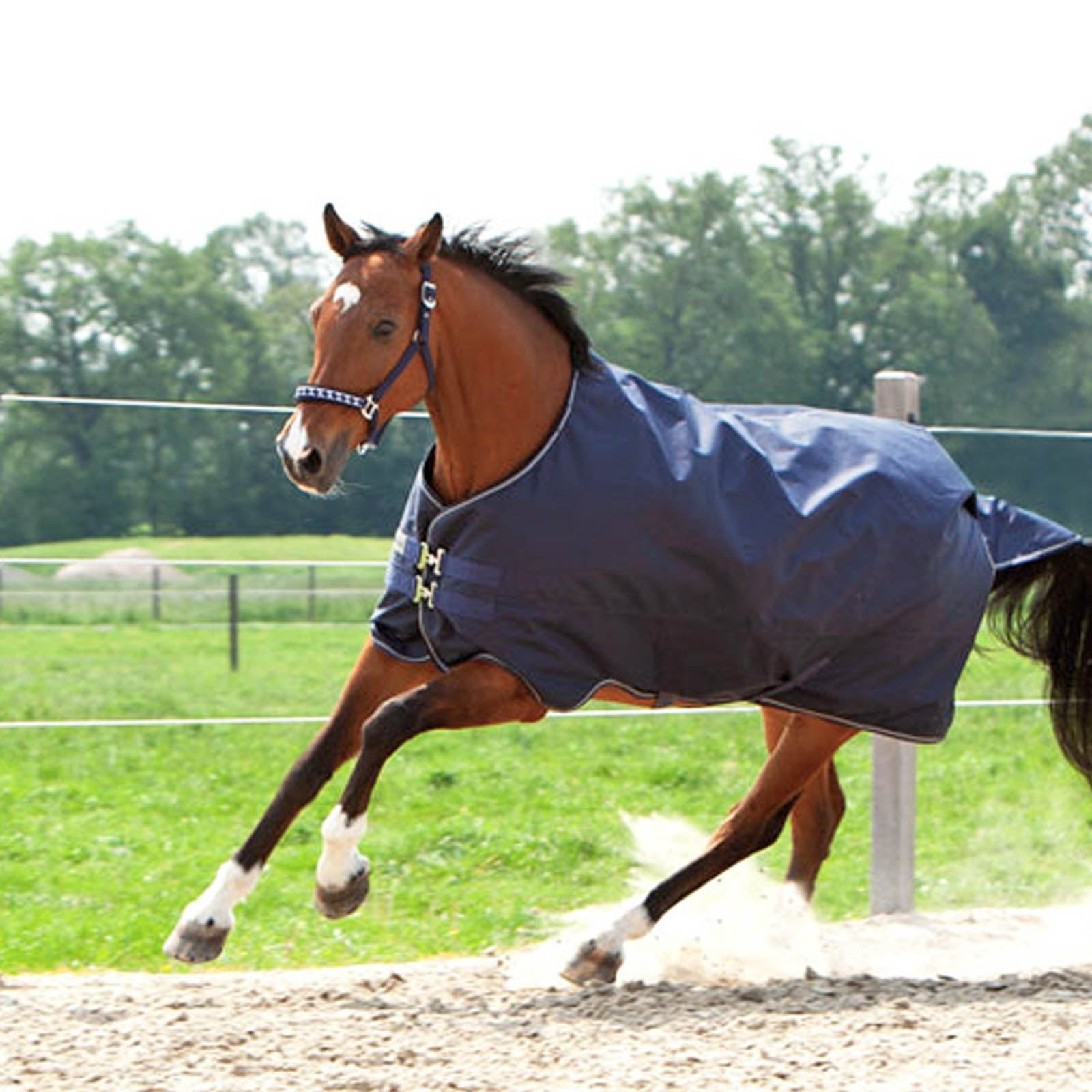 Kavalkade Montreal Turnout Rug, 100g Horse Rugs