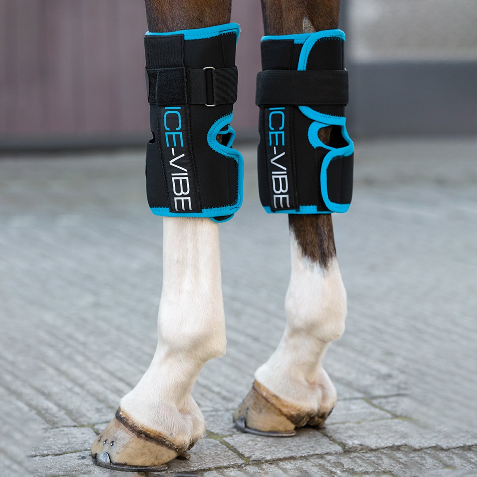 Horseware Ice-Vibe Knee Wrap Horse Health Care