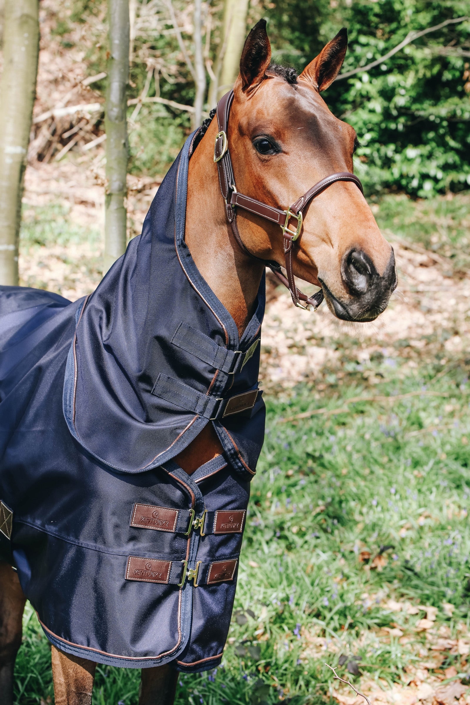 Kentucky Horsewear All Weather Neck, 0g Horse Rugs