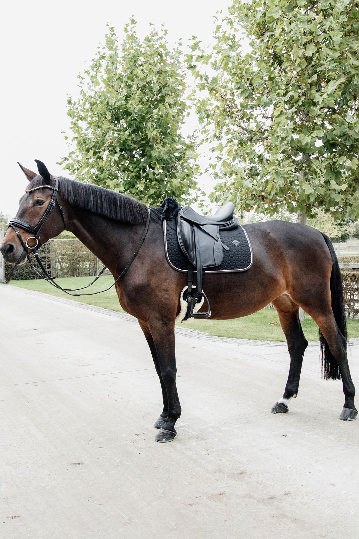 Kentucky Horsewear Skin Friendly Dressage Saddle Pad Saddle Pads