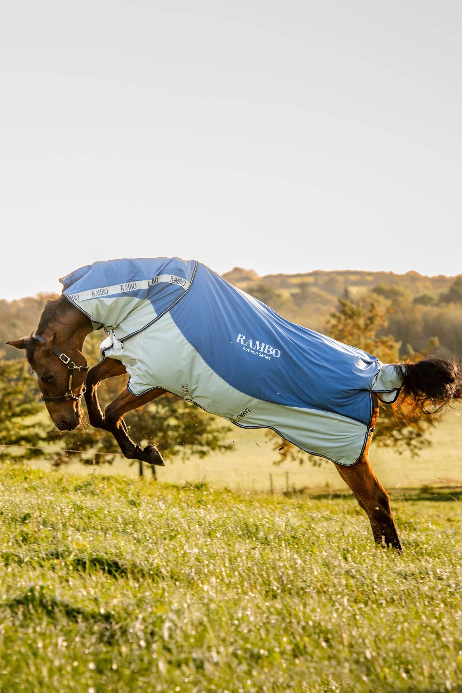 Deka výběhová Horseware Rambo Autumn Series Turnout Disc 0g 100g Deka výběhová Horseware Rambo Autumn Series Turnout Disc 0g 100g