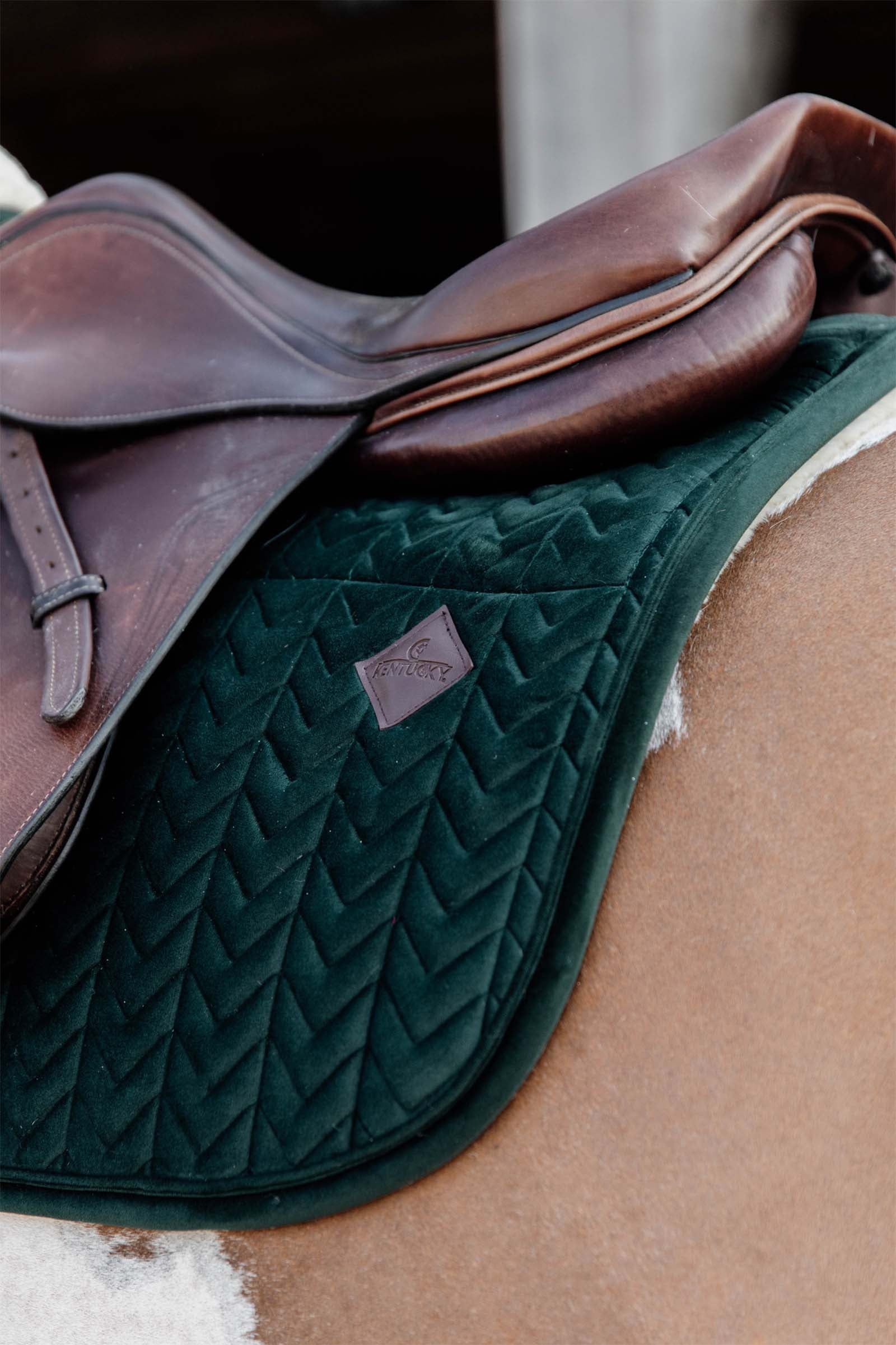 Kentucky Horsewear Velvet Skin Friendly Jumping Saddle Pad Saddle Pads