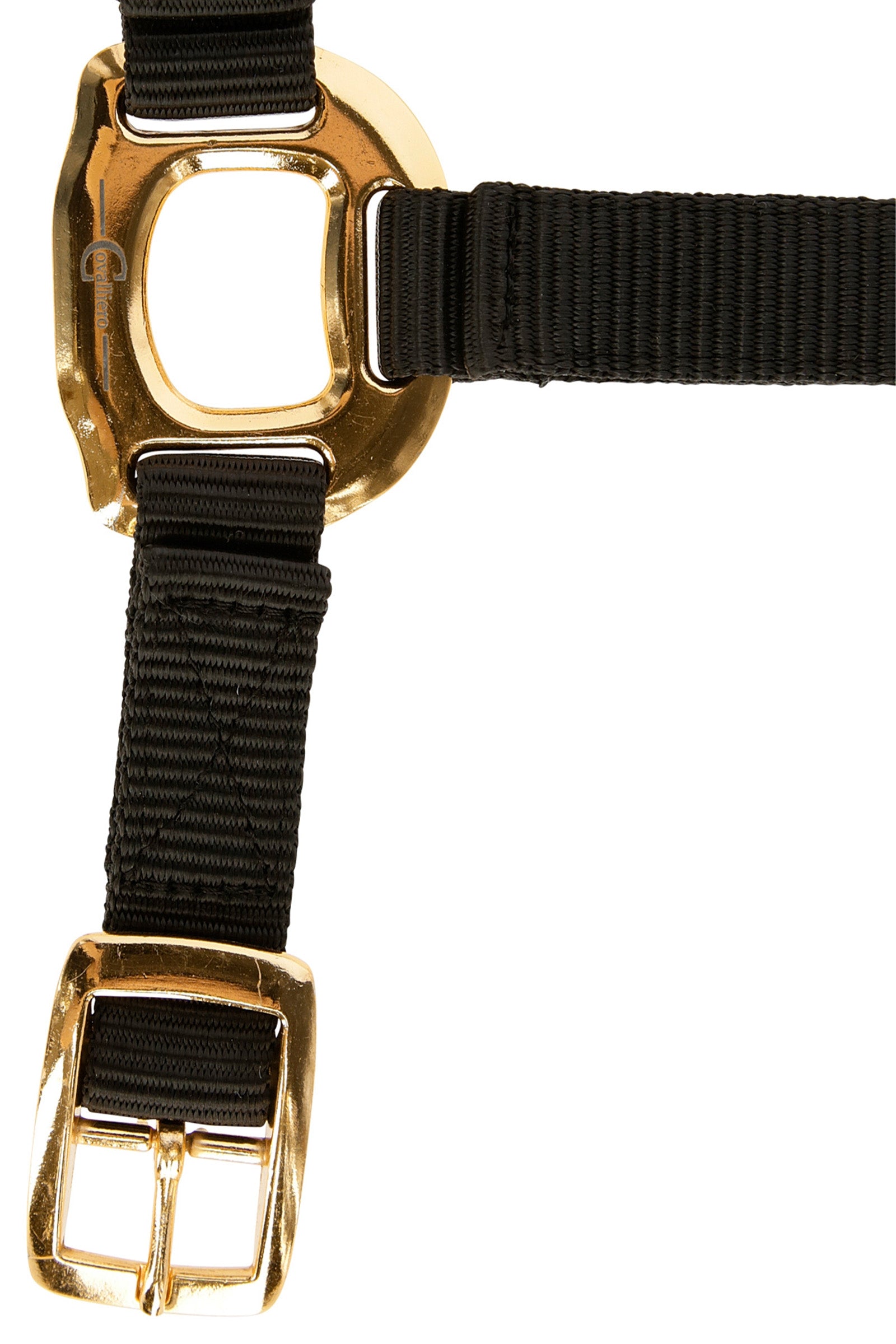 Covalliero TopLine Halter Halters & Leads