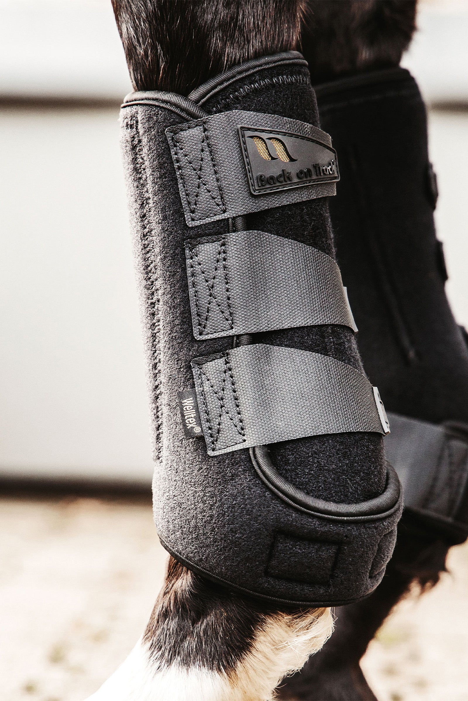 Back on Track Airflow Exercise Boots Leg & Hoof Protection