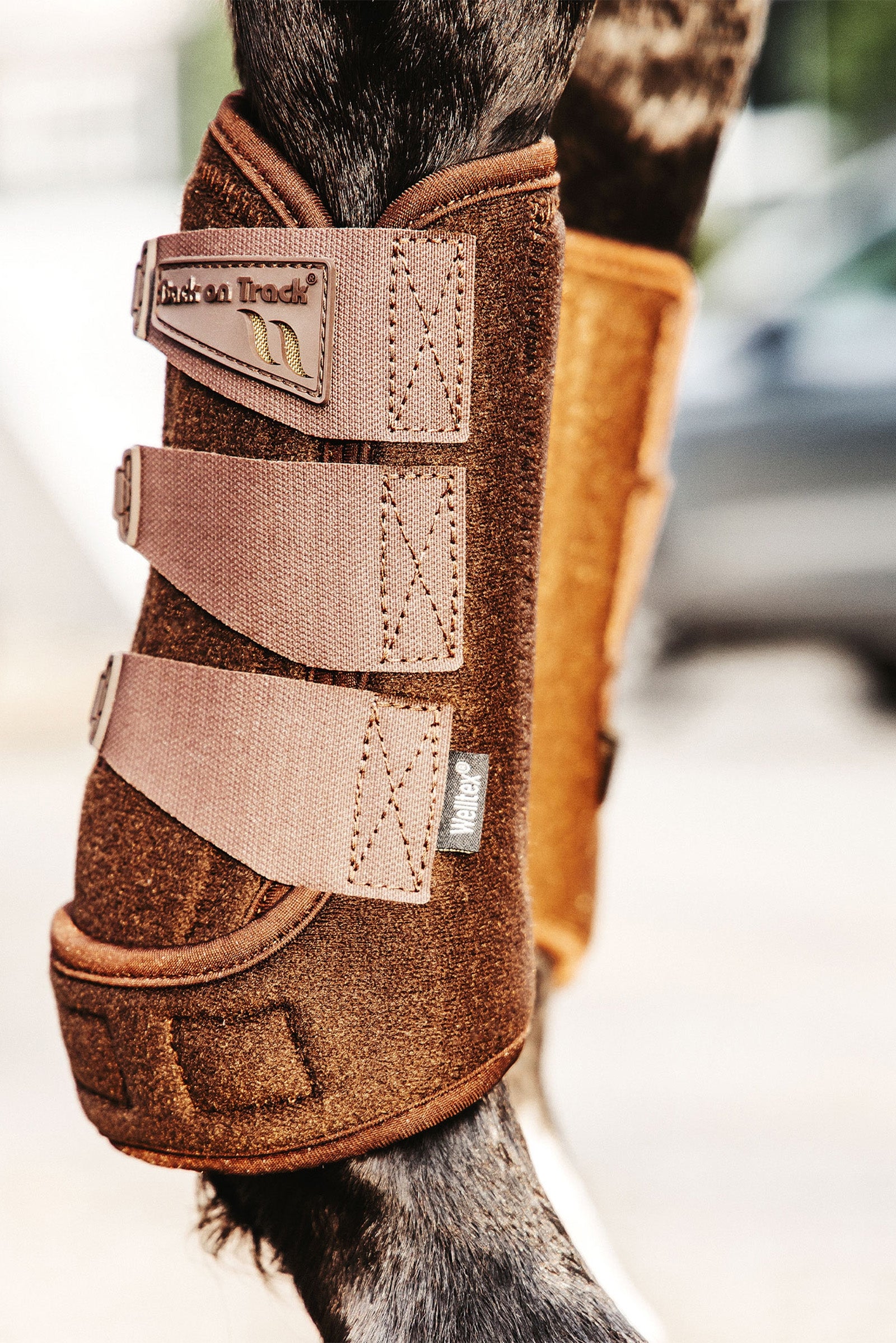 Back on Track Airflow Exercise Boots Leg & Hoof Protection
