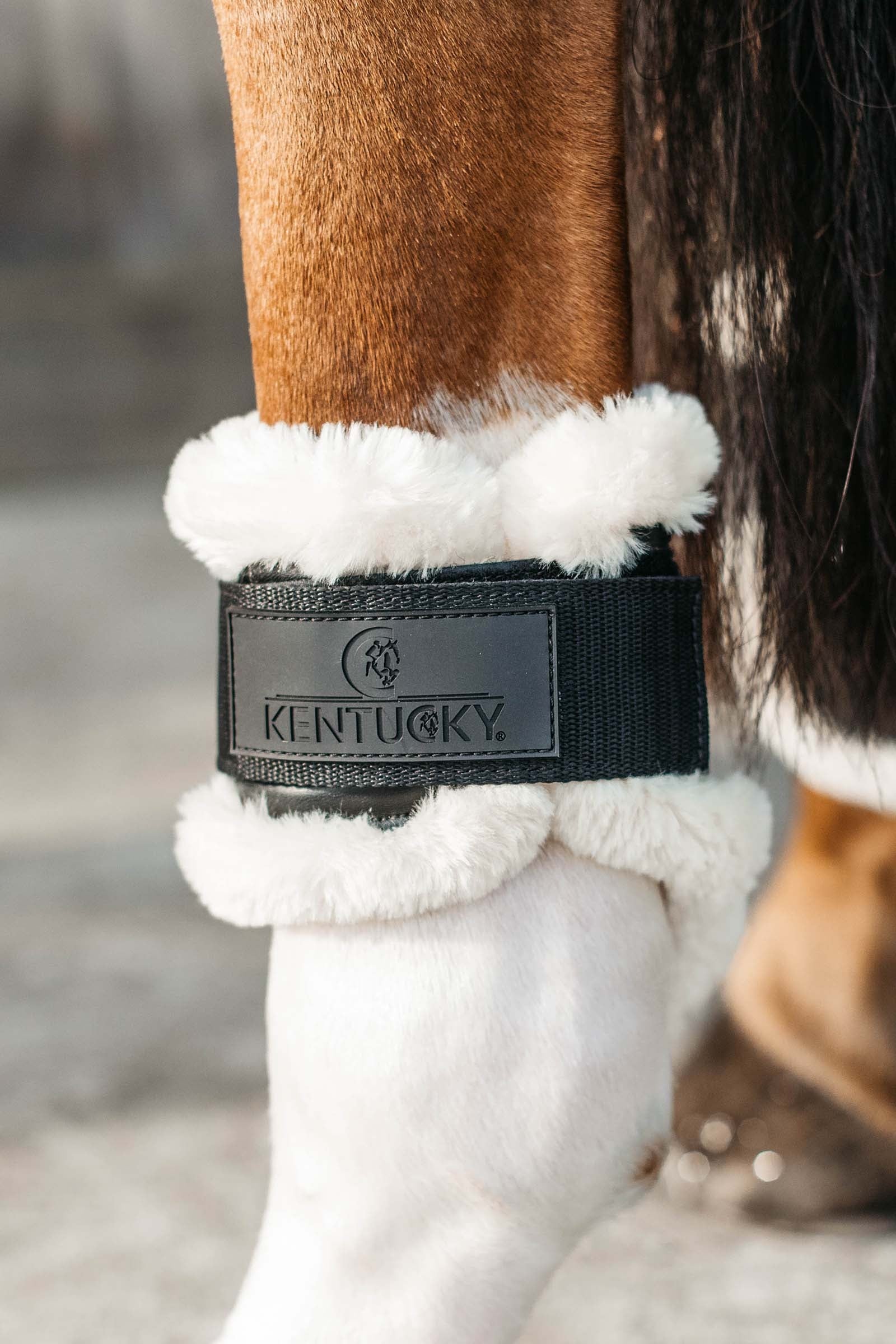 Kentucky Horsewear Vegan Sheepskin Young Horse Fetlock Boots Leg & Hoof Protection