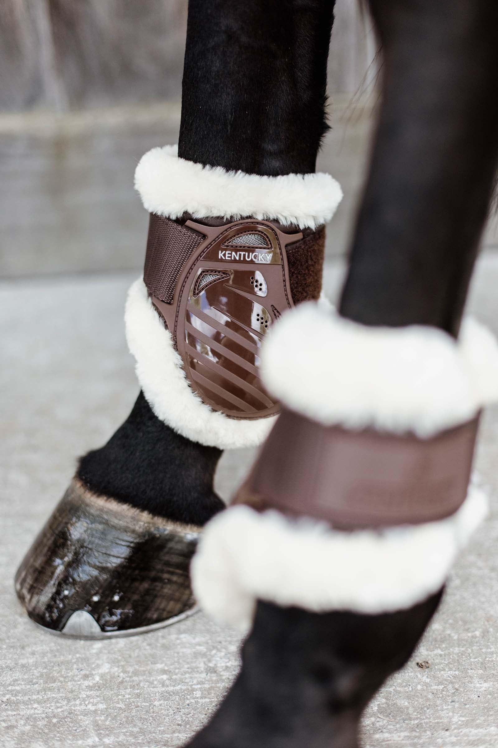 Kentucky Horsewear Vegan Sheepskin Young Horse Fetlock Boots Leg & Hoof Protection