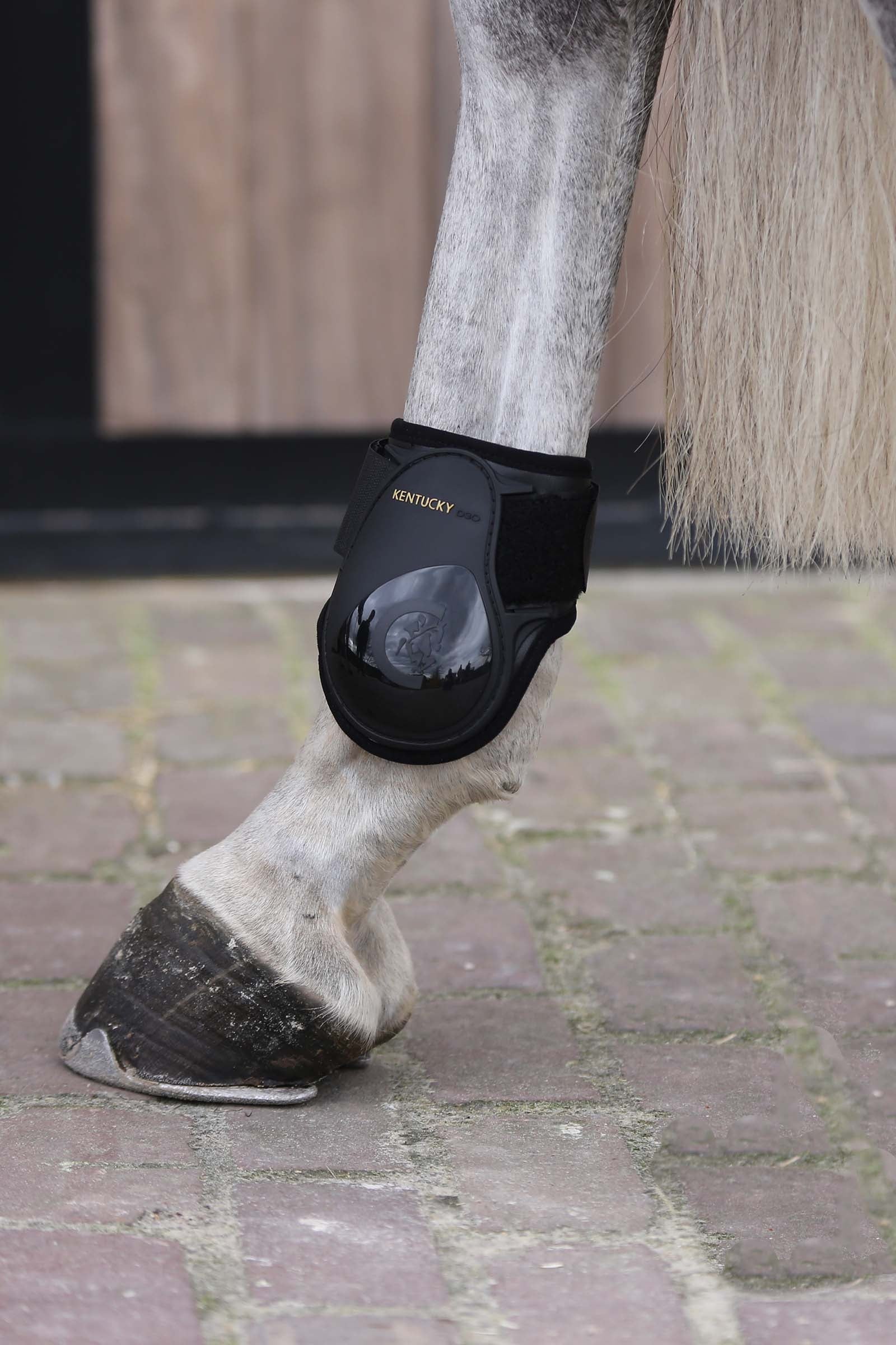Kentucky Horsewear Young Horse Fetlock Boots Leg & Hoof Protection