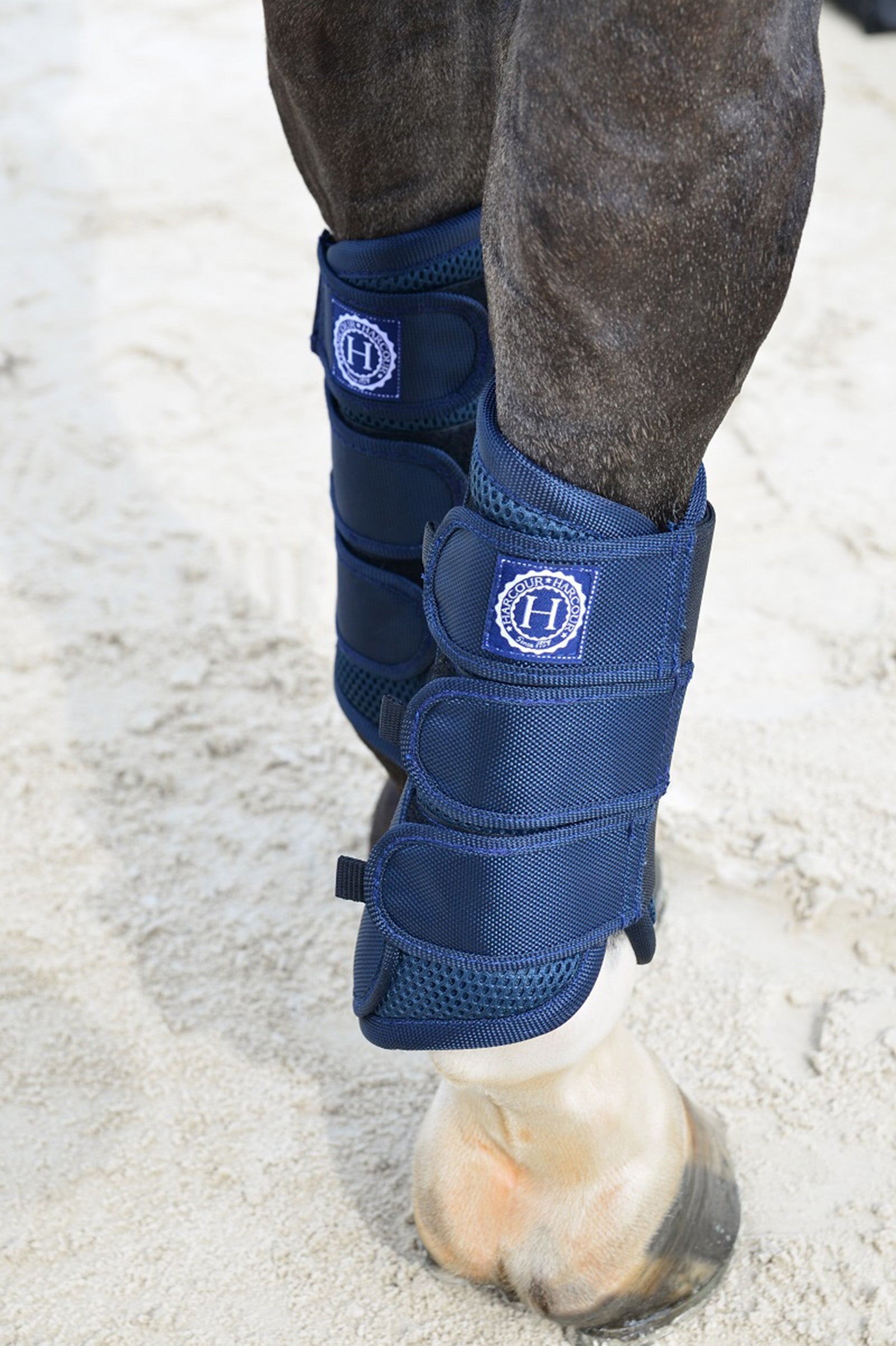 Harcour Cosmic Mesh Tendon Boots Leg Protection & Hoof Protection for Horses