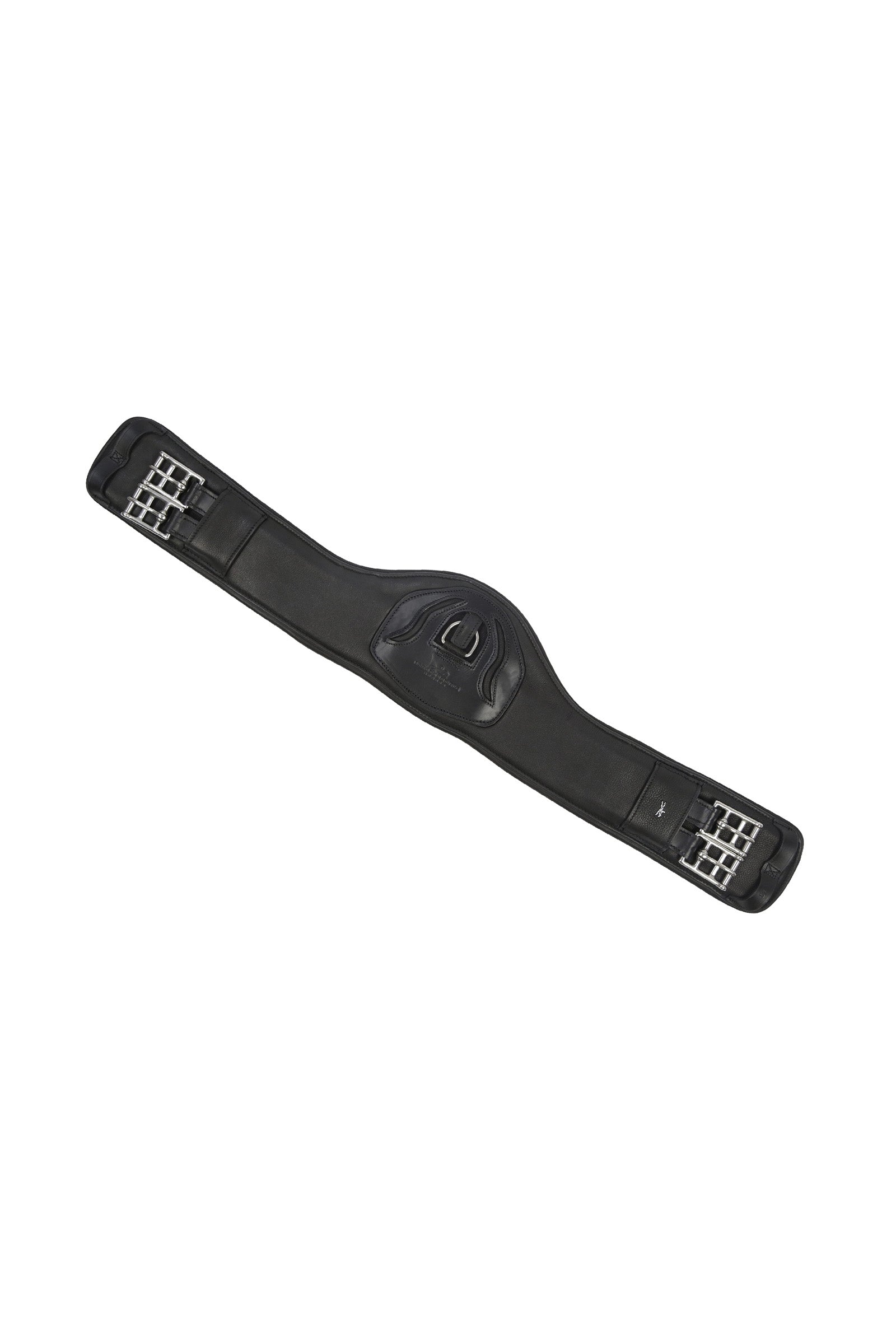 Alt Tag fallback text for IMAGE
