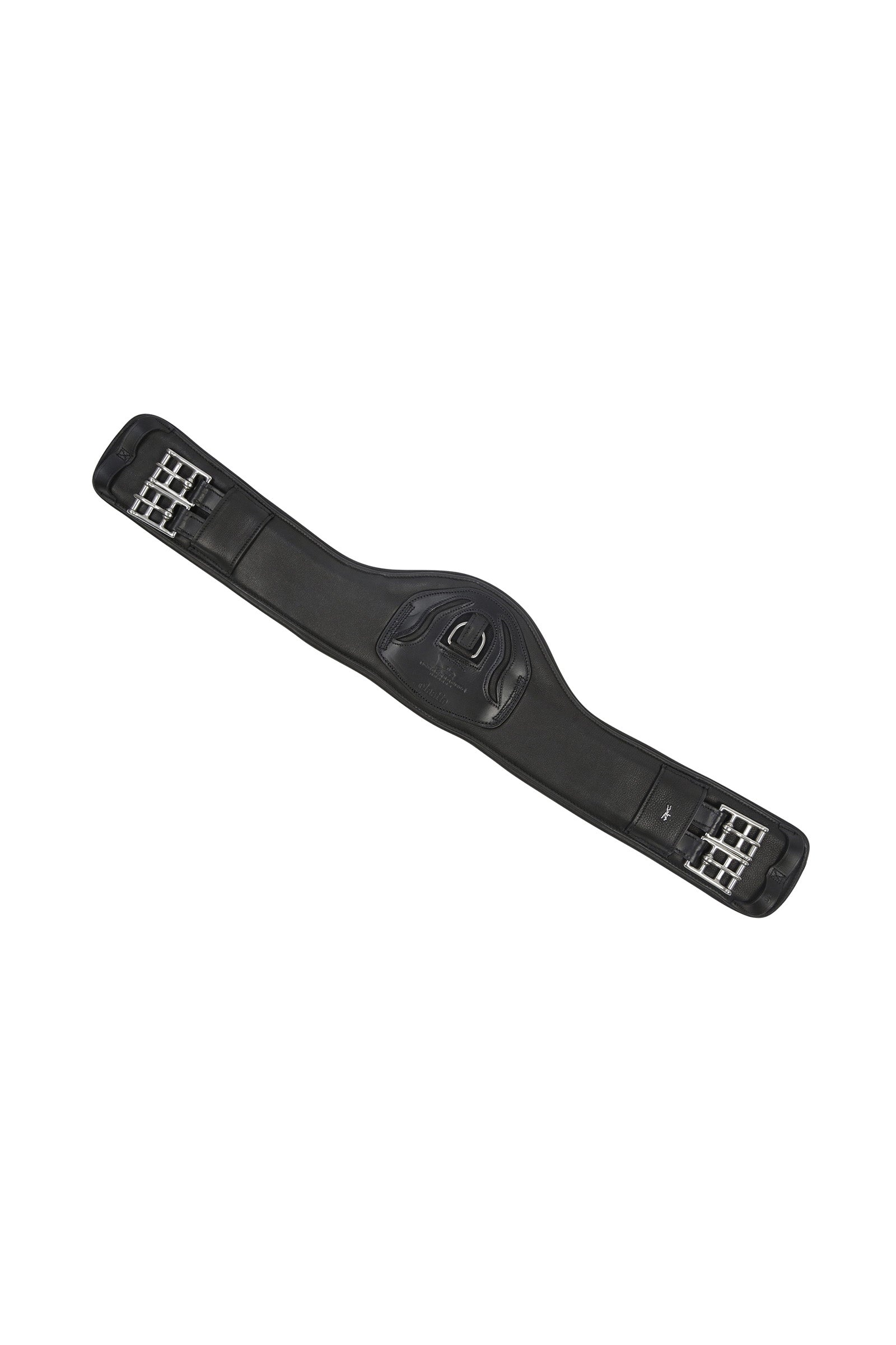 Alt Tag fallback text for IMAGE