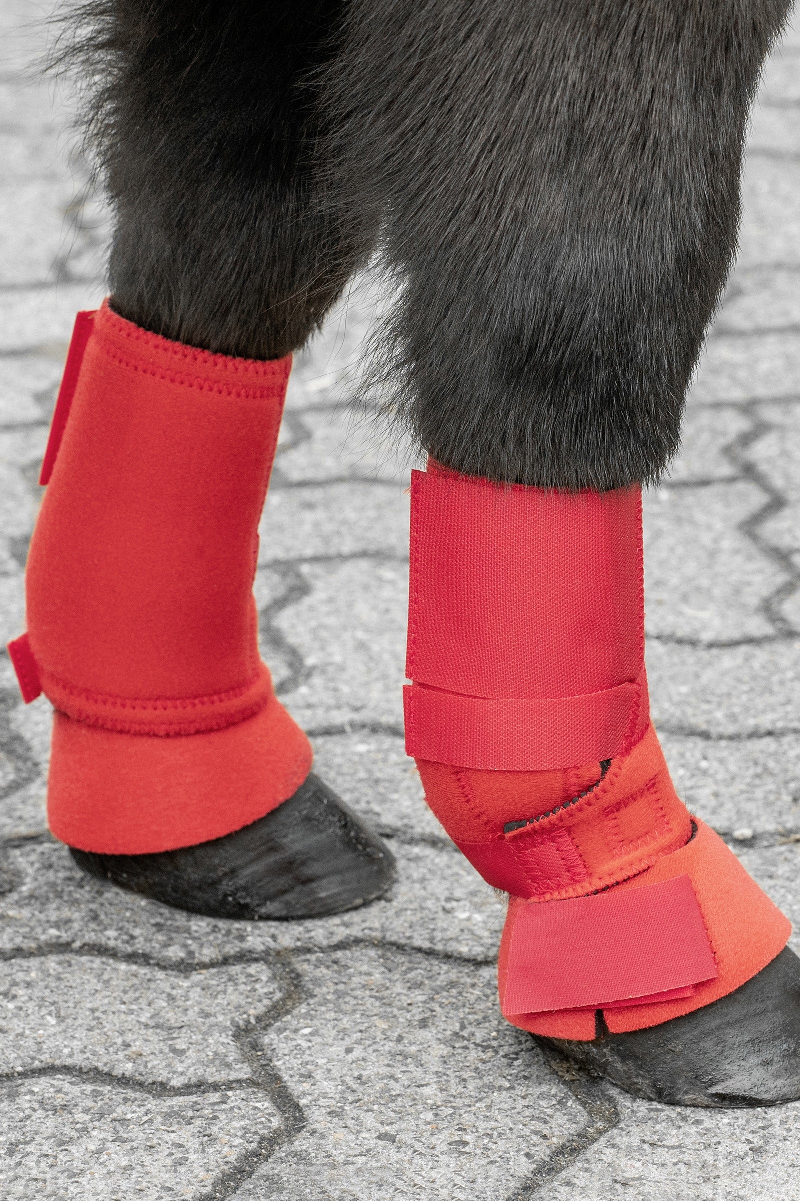 USG Shetty Exercise Boots Leg & Hoof Protection