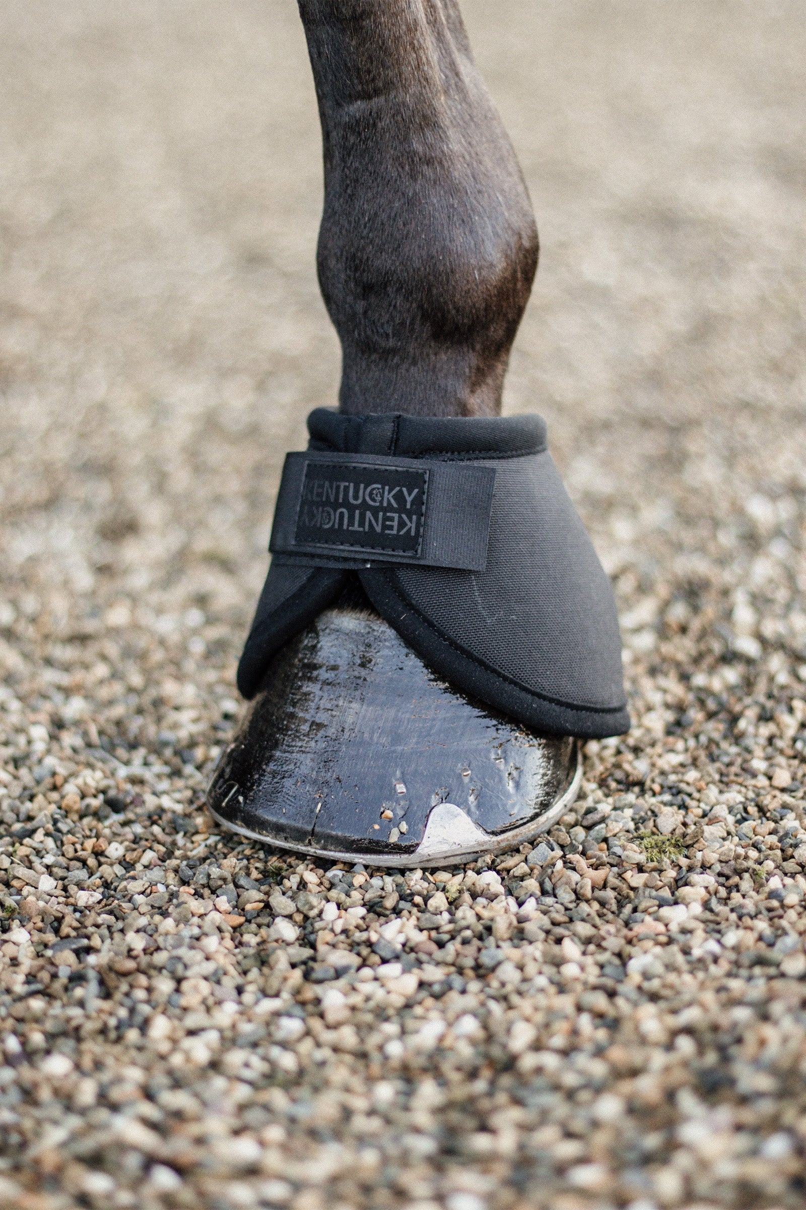 Kentucky Horsewear Heel Protection Overreach Boots Leg & Hoof Protection