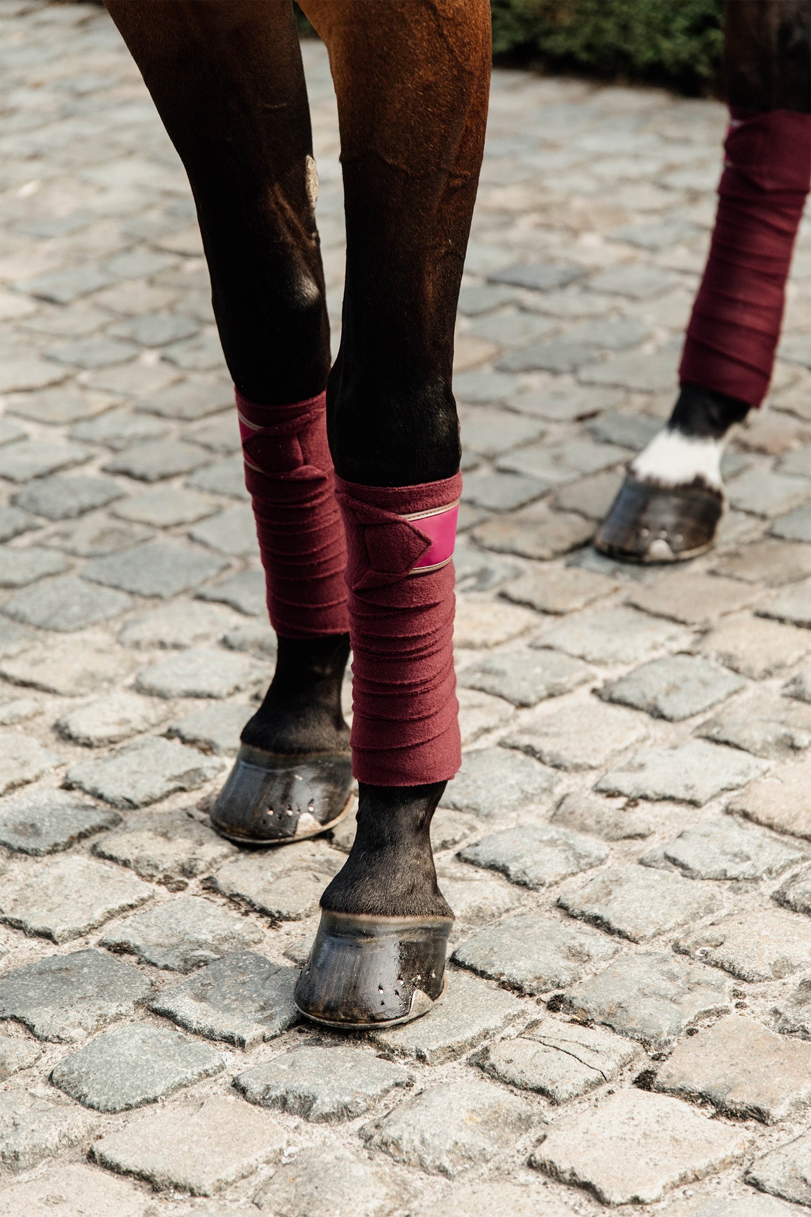 Kentucky Horsewear Polar Fleece Polos Leg & Hoof Protection