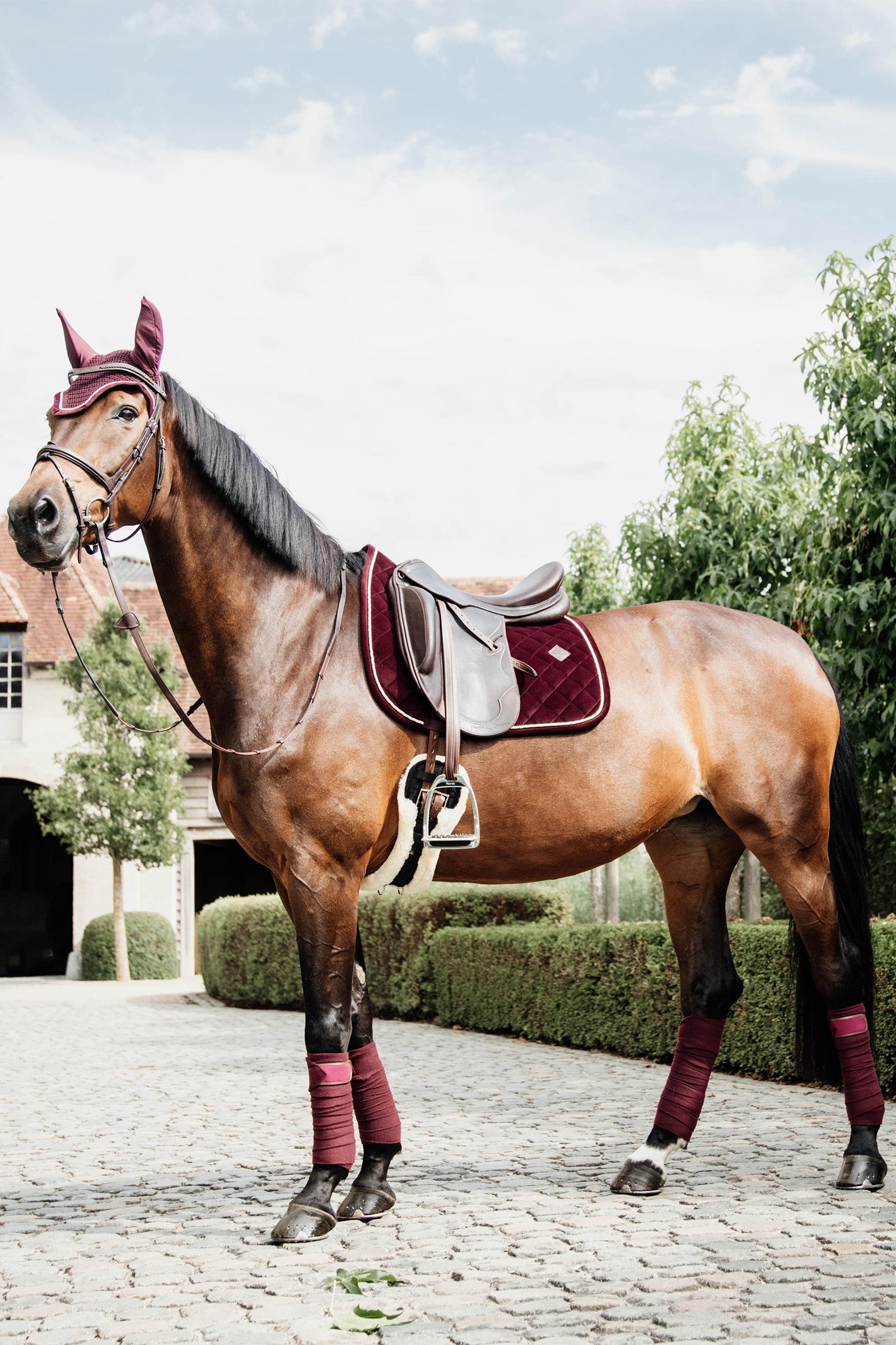 Kentucky Horsewear Polar Fleece Polos Leg & Hoof Protection