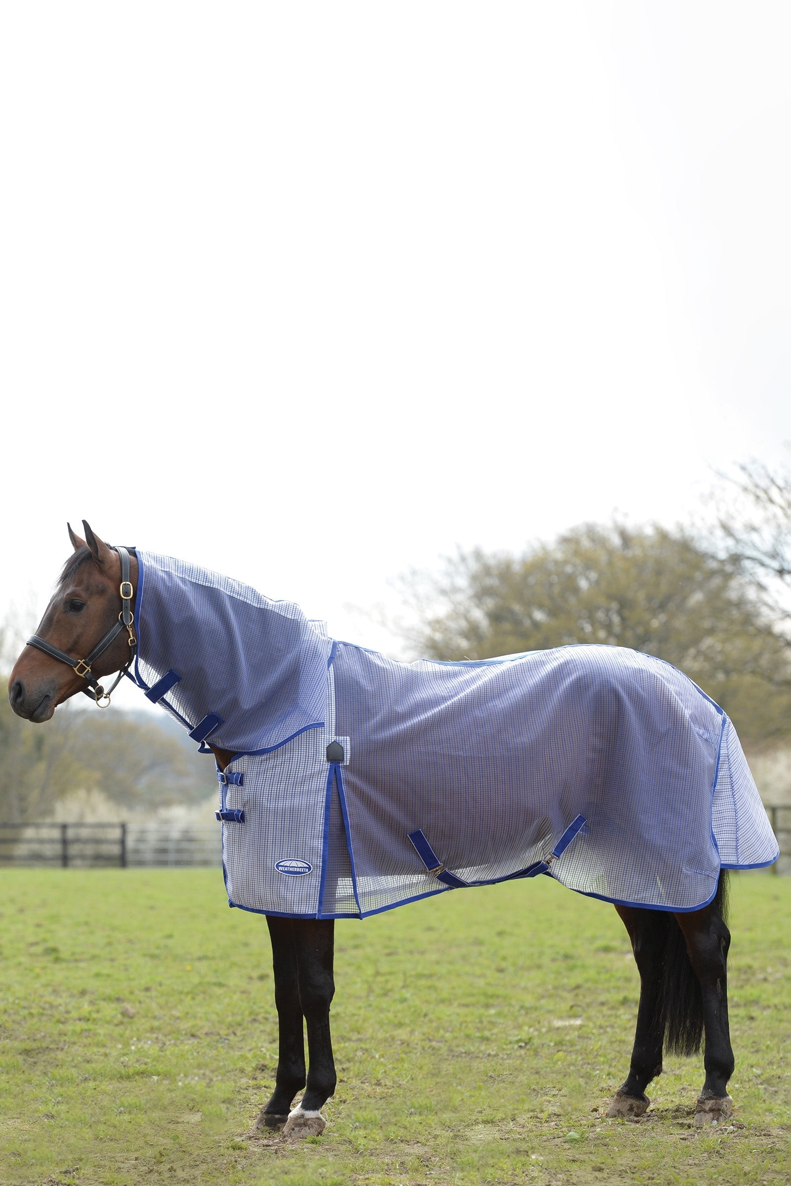 Weatherbeeta Comfitec Ripshield Plus with Ultra Belly Wrap Combo Neck Horse Rugs