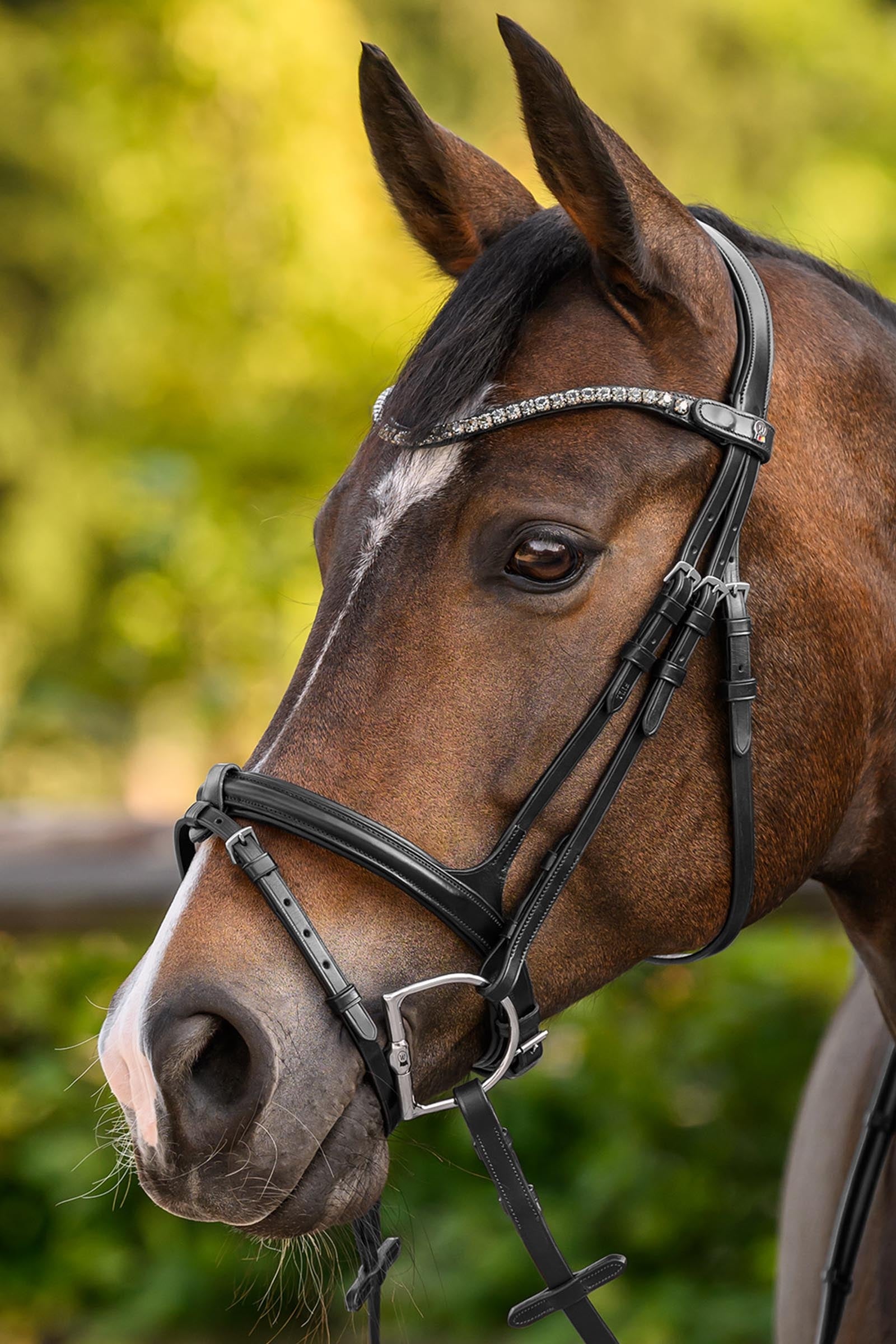 Waldhausen X-Line Shine Browband Bridles & Reins