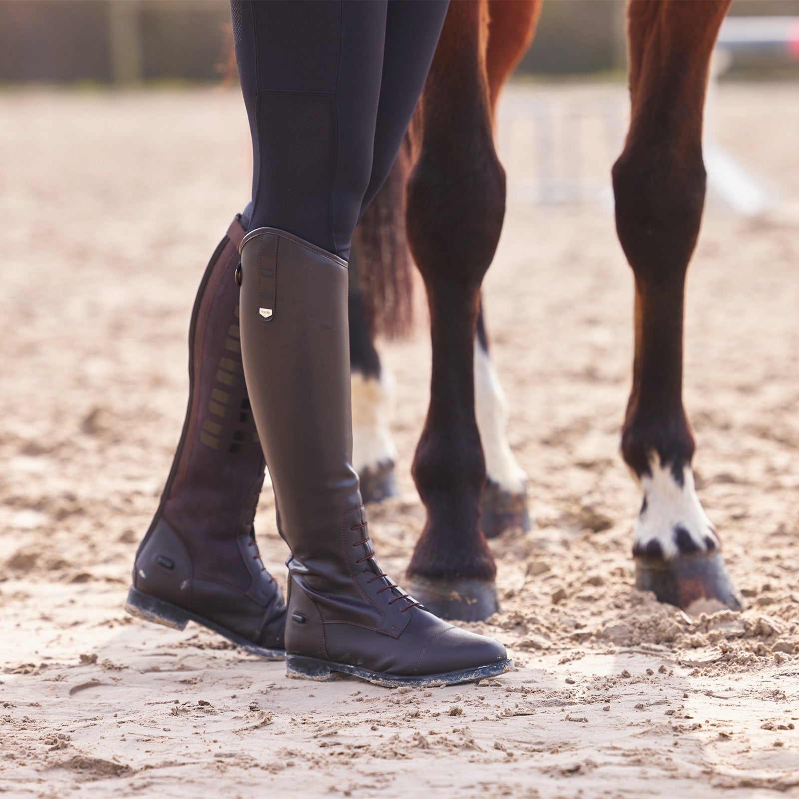 Horze Rover Field Boots with Silicone Riding Boots & Riding Shoes