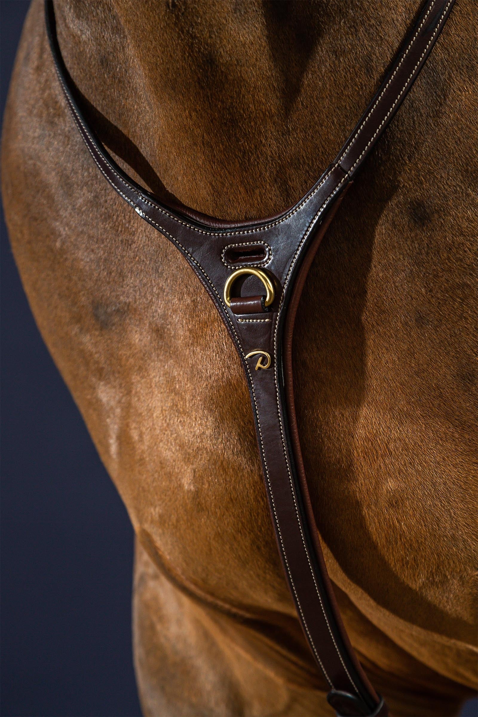 Dy'on D Collection Yoke Bridles & Reins
