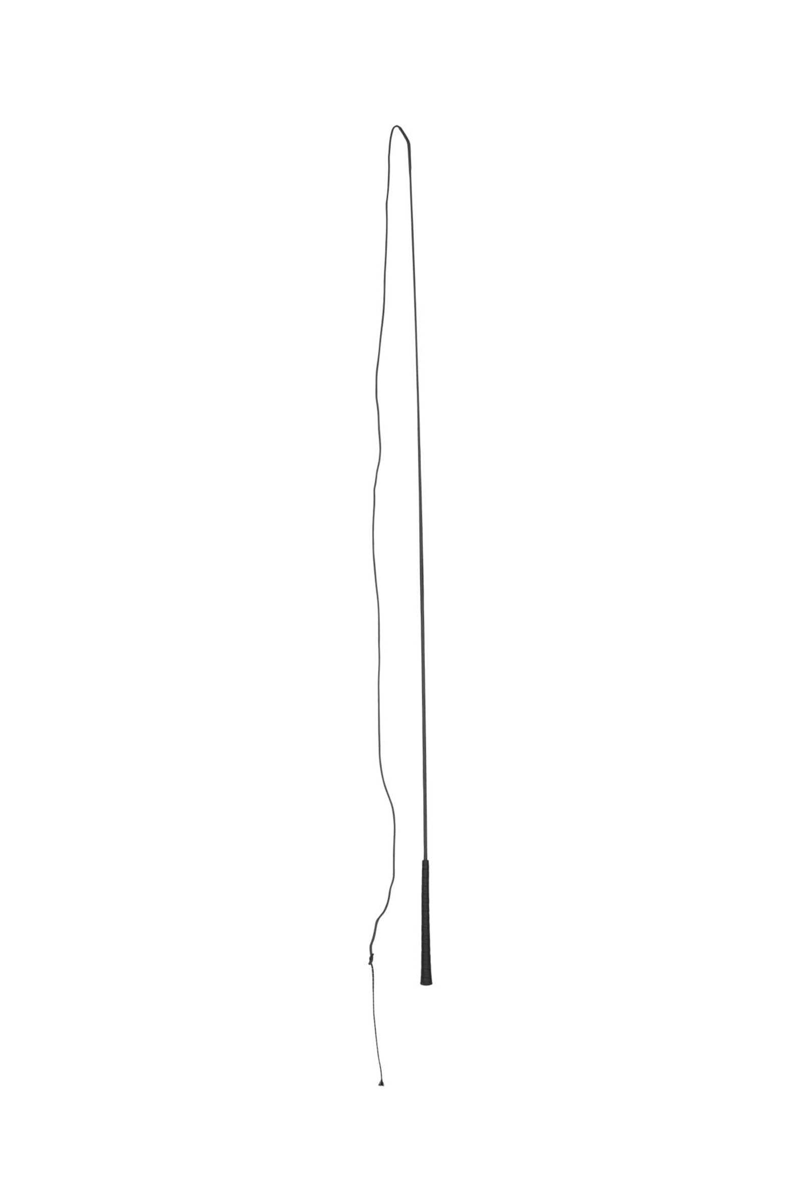 Alt Tag fallback text for IMAGE