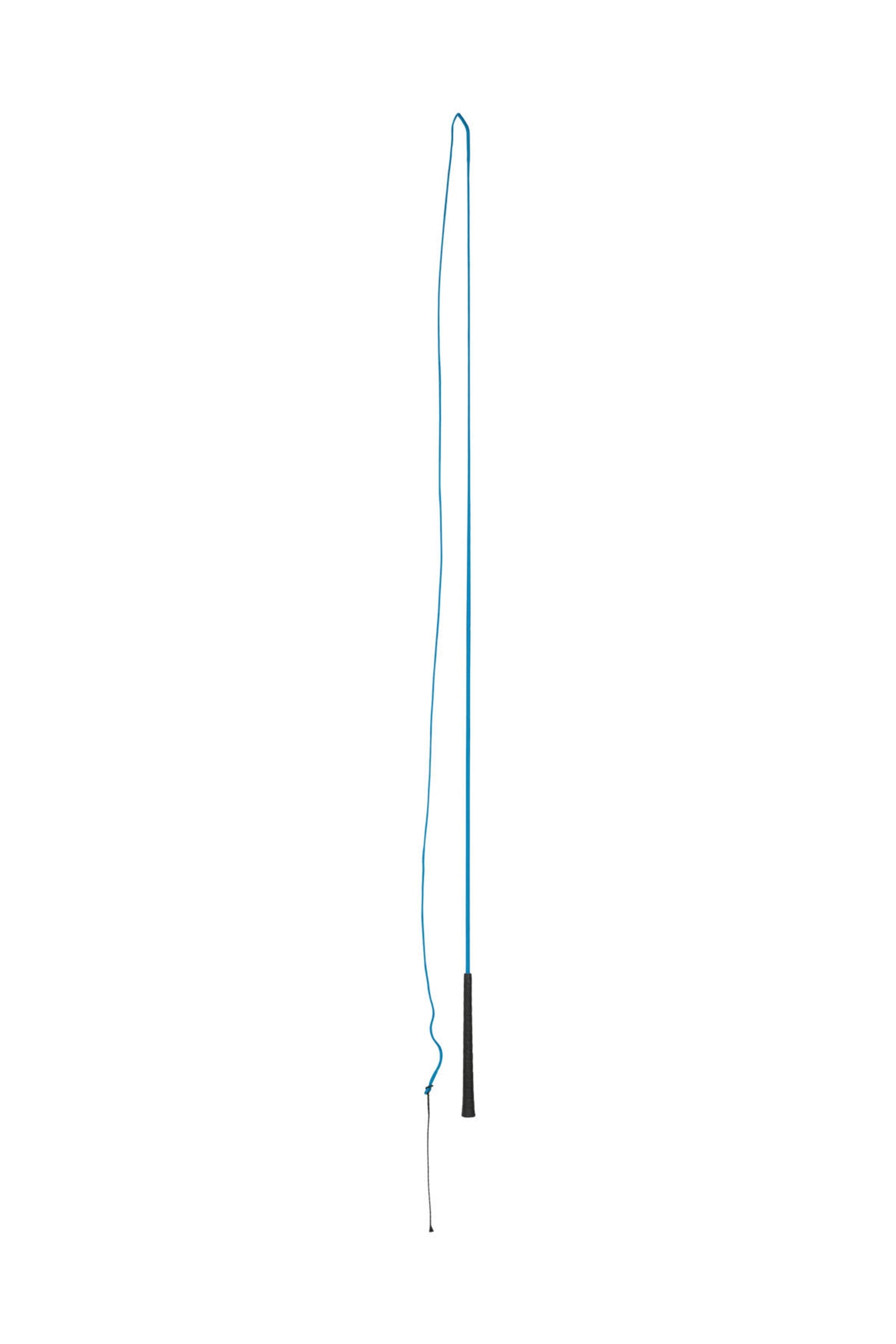 Alt Tag fallback text for IMAGE
