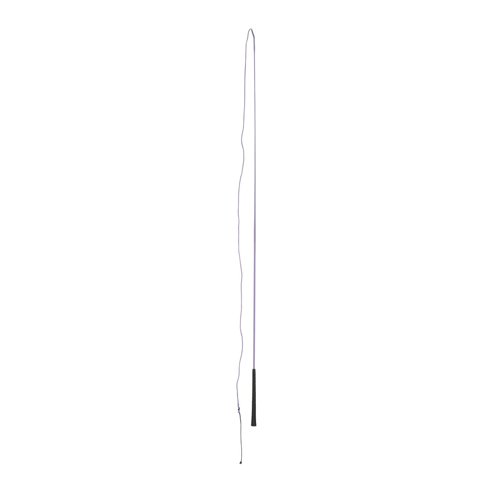 Alt Tag fallback text for IMAGE