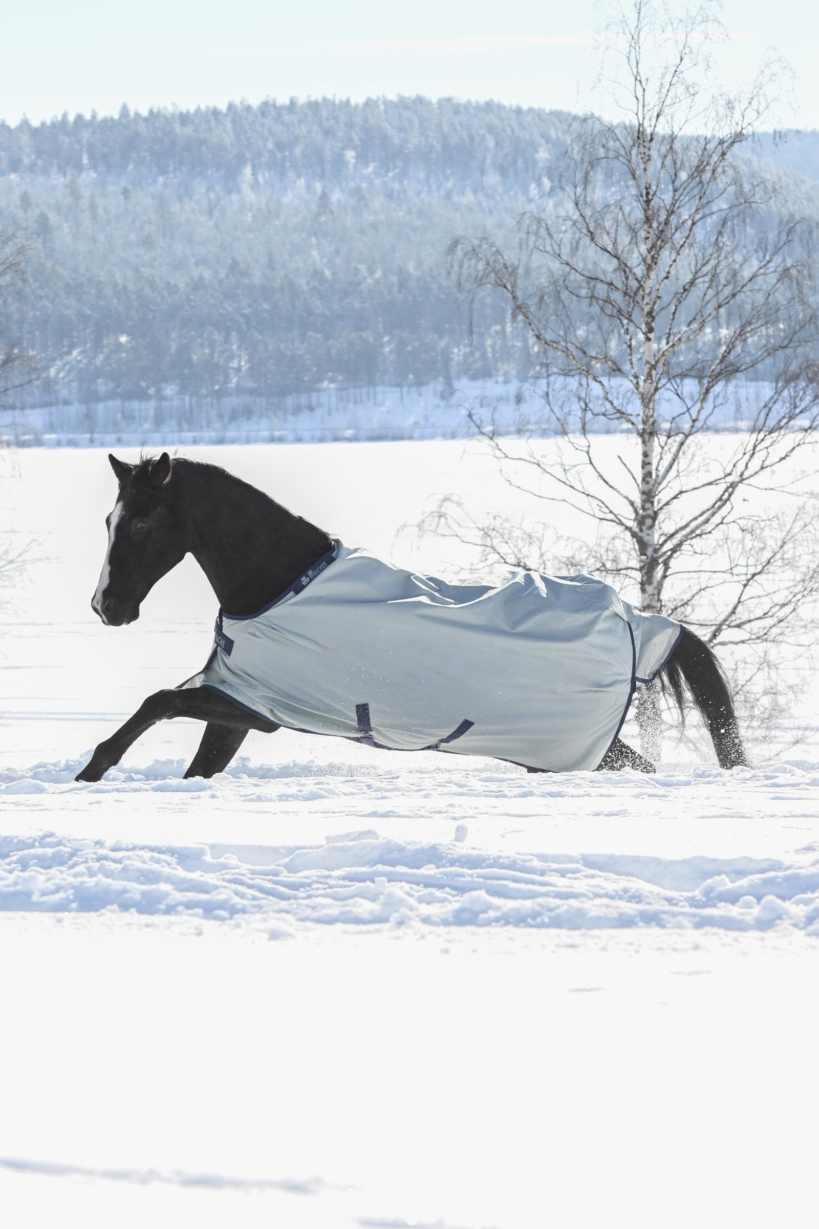 Bucas Power Extra Turnout Rug With Cooling Function, 300g Horse Rugs