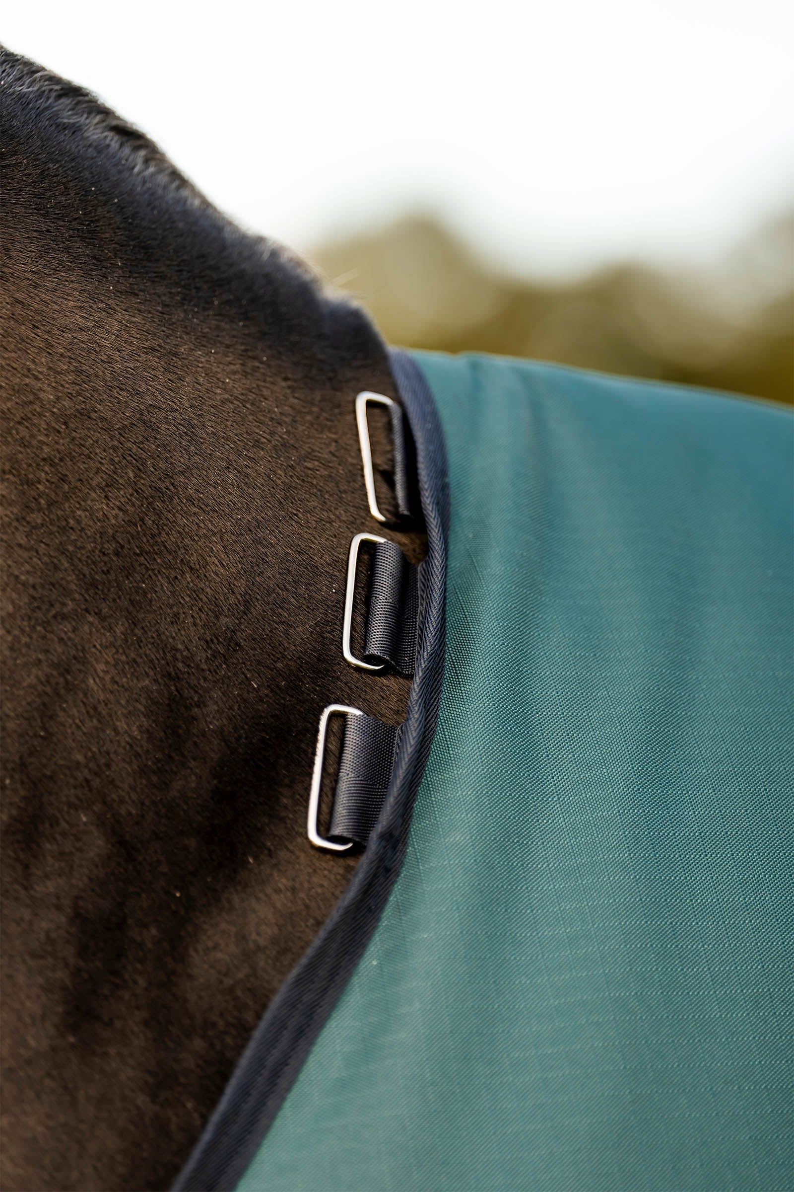 Horseware Amigo Ripstop 900D Turnout Rug, 100 g Horse Rugs