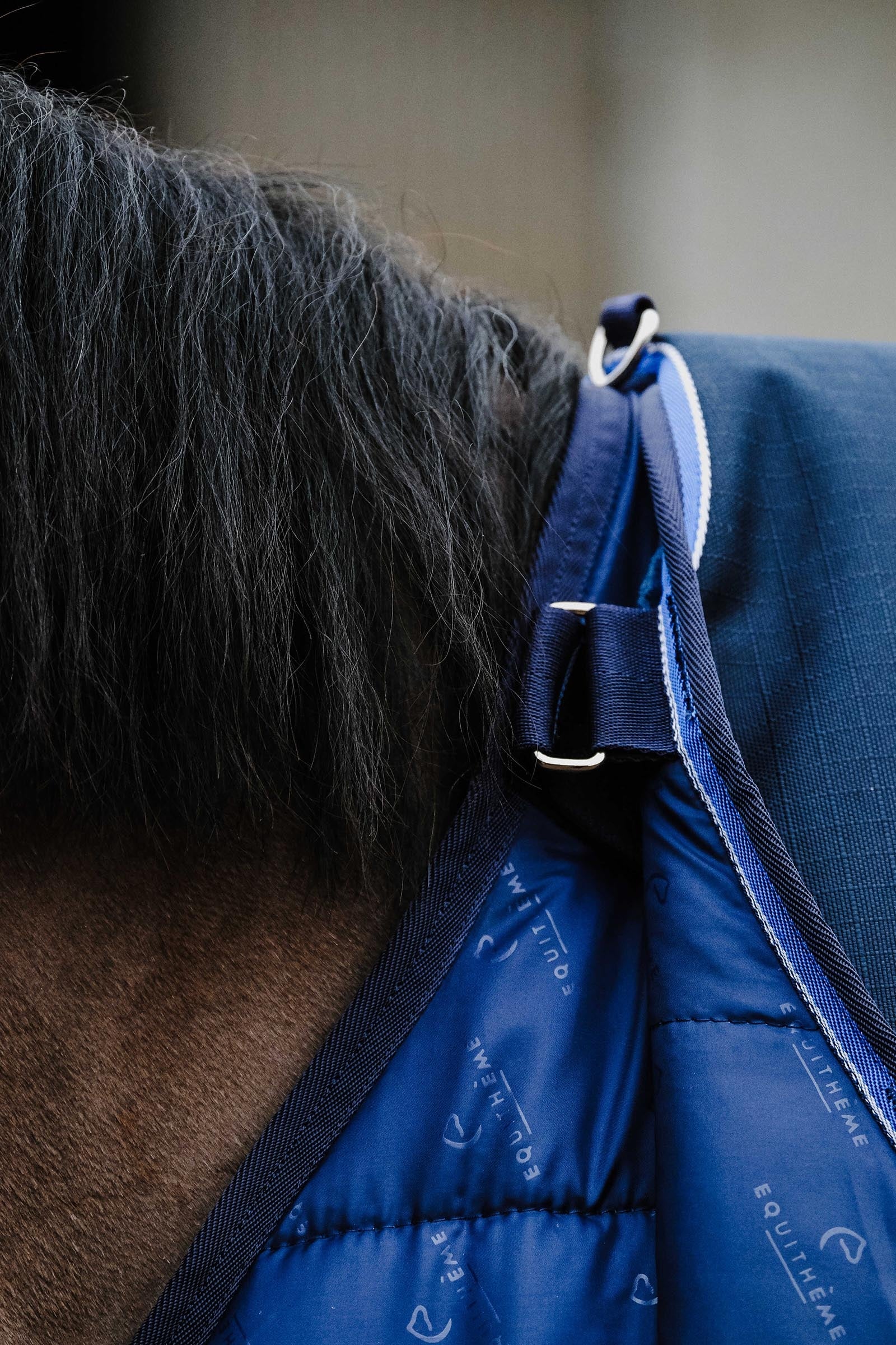 EQUITHÈME Classic Under Rug, 100 g Horse Rugs