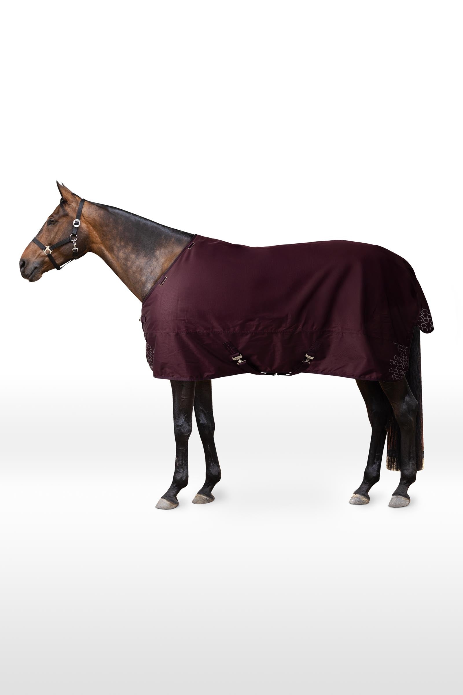Horze Newbridge Reflective Turnout Rug, 200 g Horse Rugs