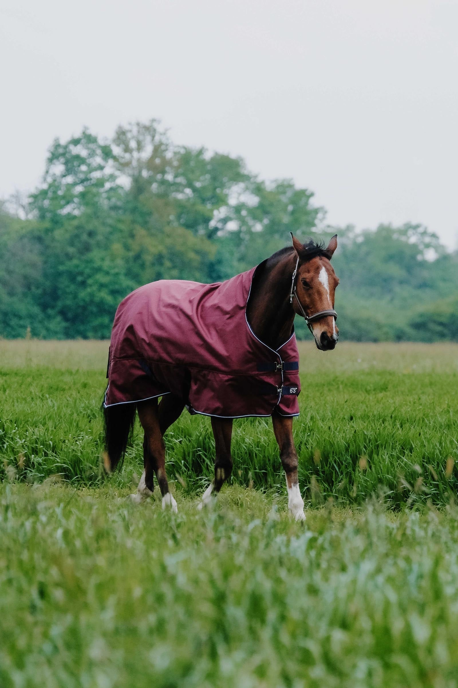 EQUITHÈME TYREX 1200D High Neck Rug, 50 g Horse Rugs