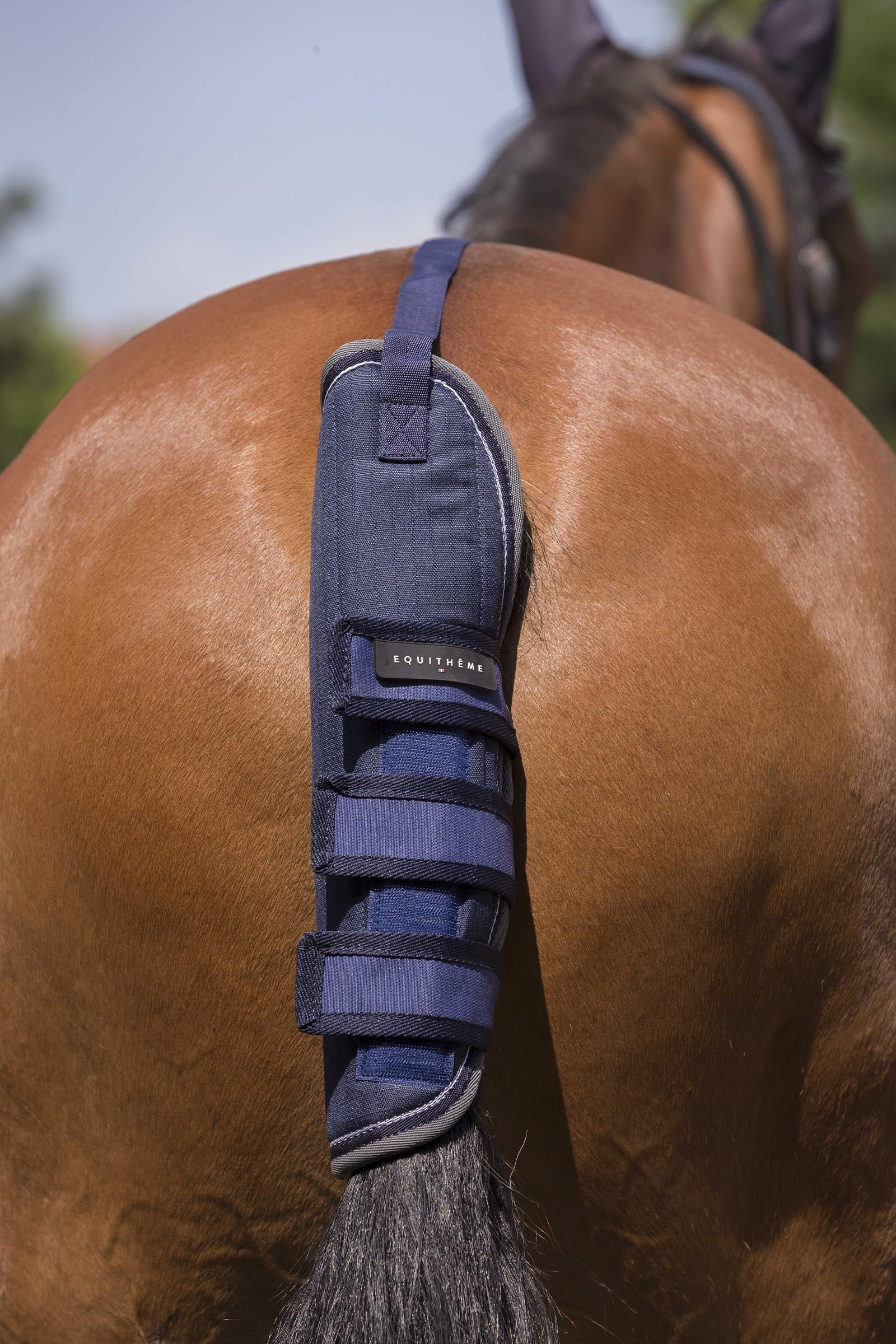 EQUITHÈME TYREX 600D Tail Guard Leg & Hoof Protection