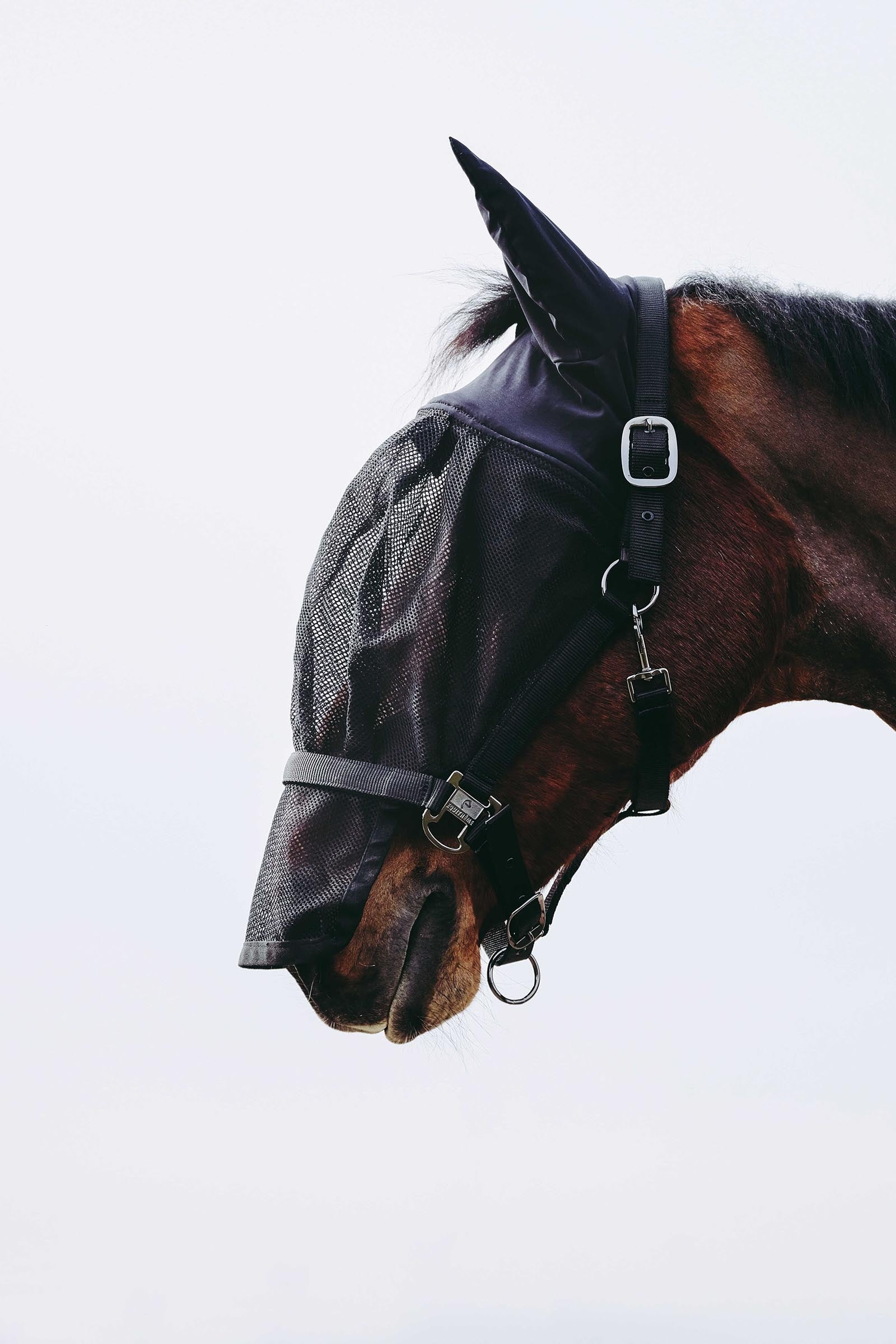 EQUITHÈME Halter + Mask Antifly Protection for Horses