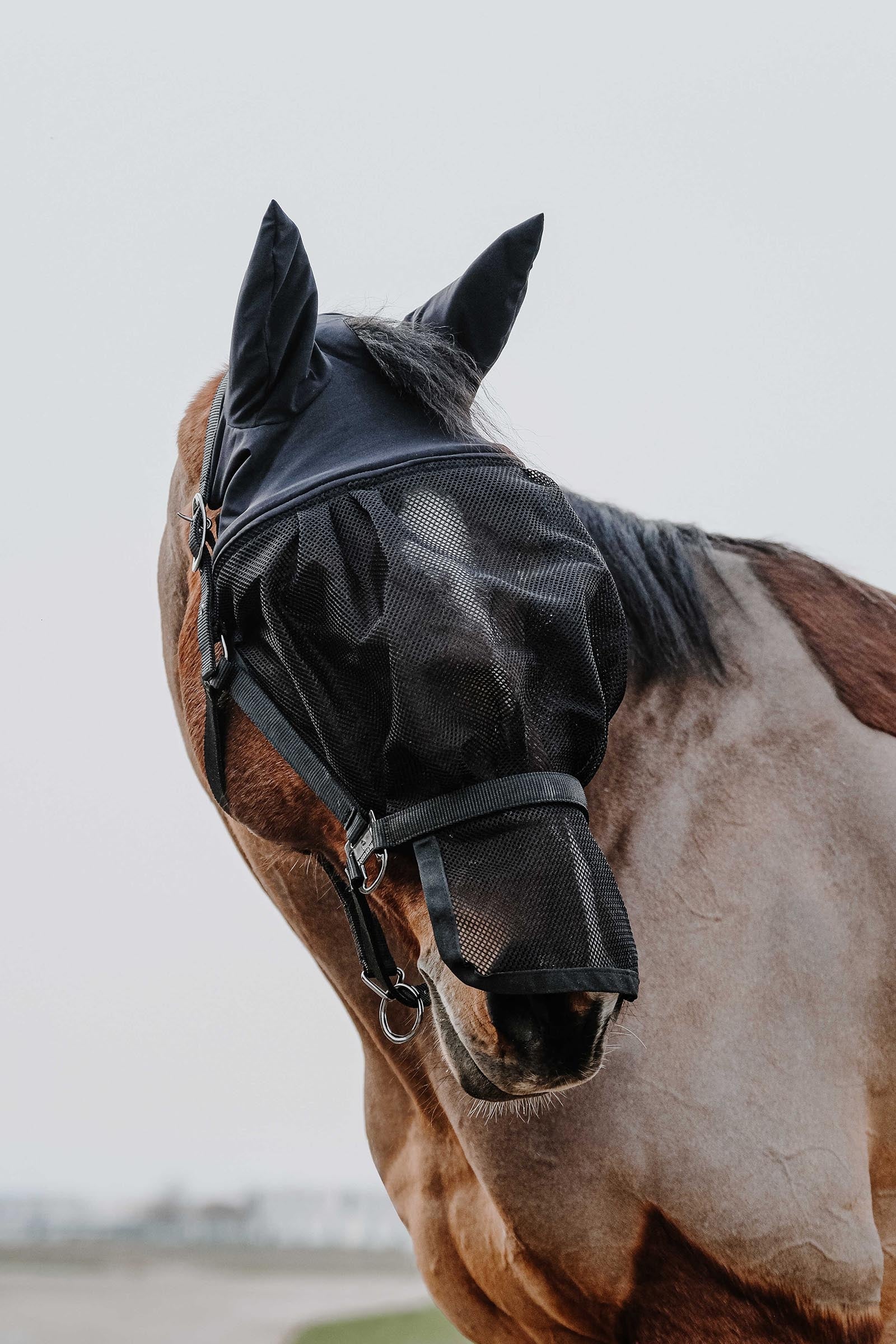 EQUITHÈME Halter + Mask Antifly Protection for Horses