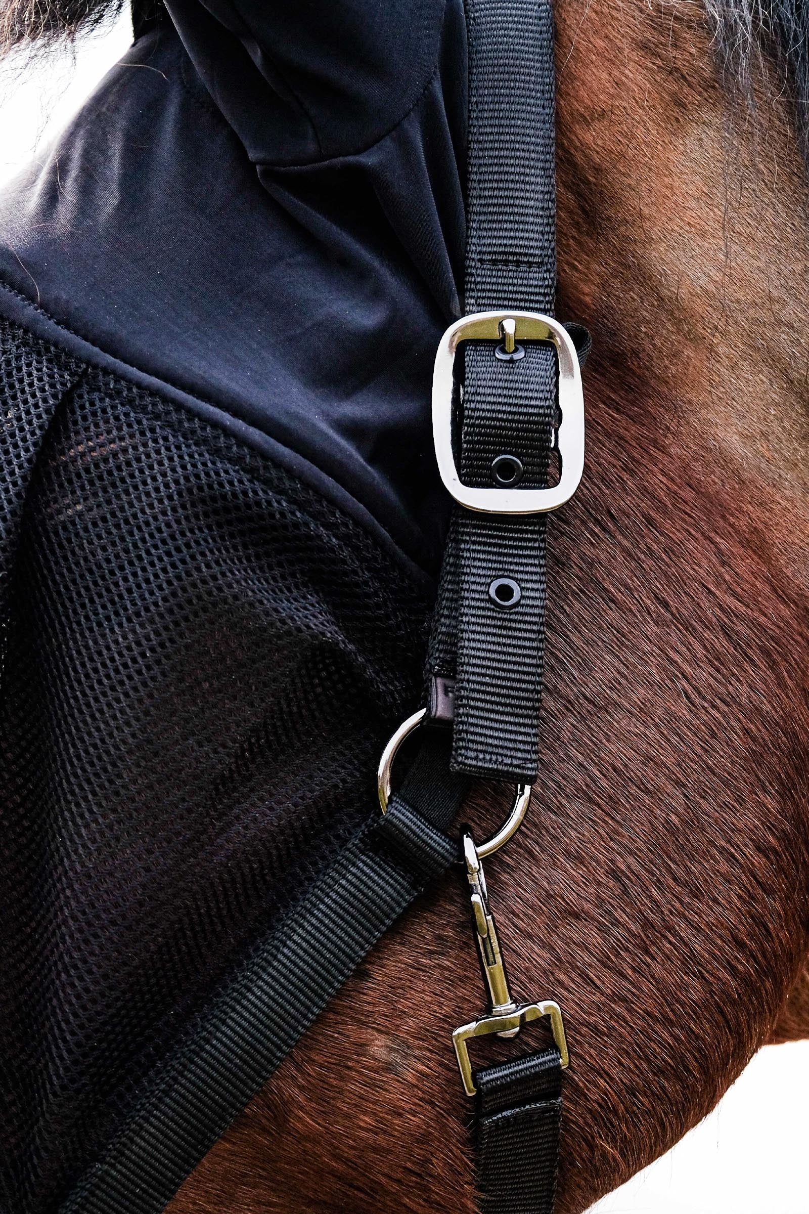 EQUITHÈME Halter + Mask Antifly Protection for Horses