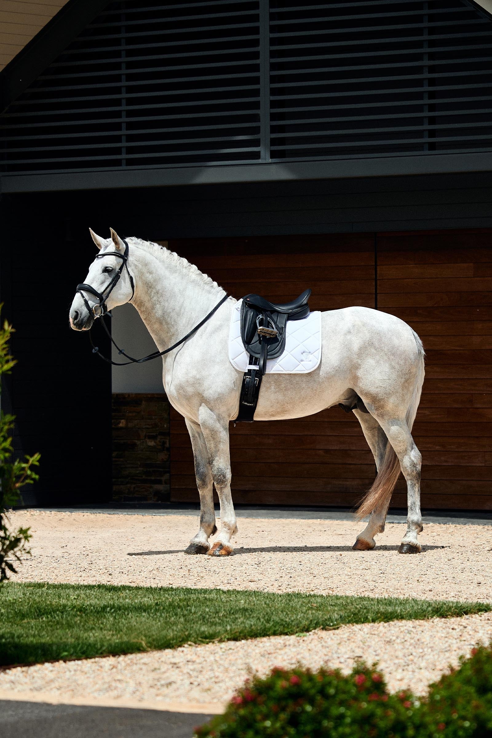 Weatherbeeta Softshell Pro 3D Air-Tec Dressage Saddle Pad Saddle Pads