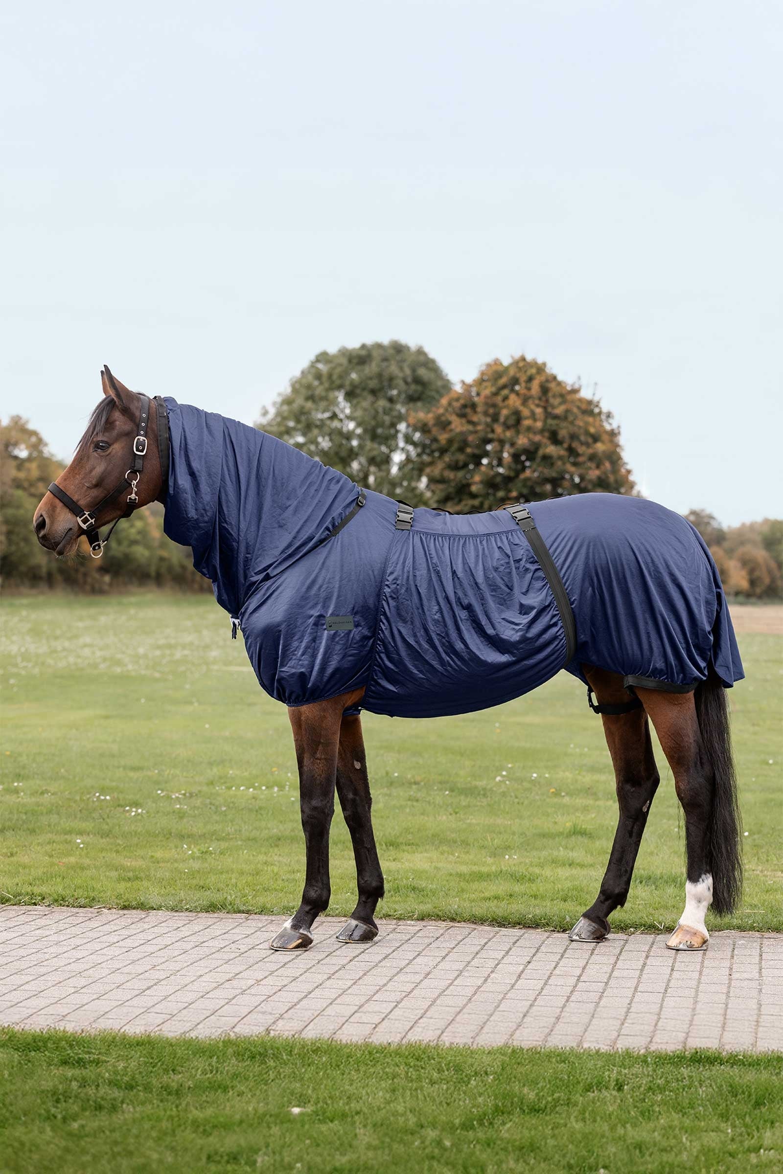Waldhausen Eczema Rug Horse Rugs