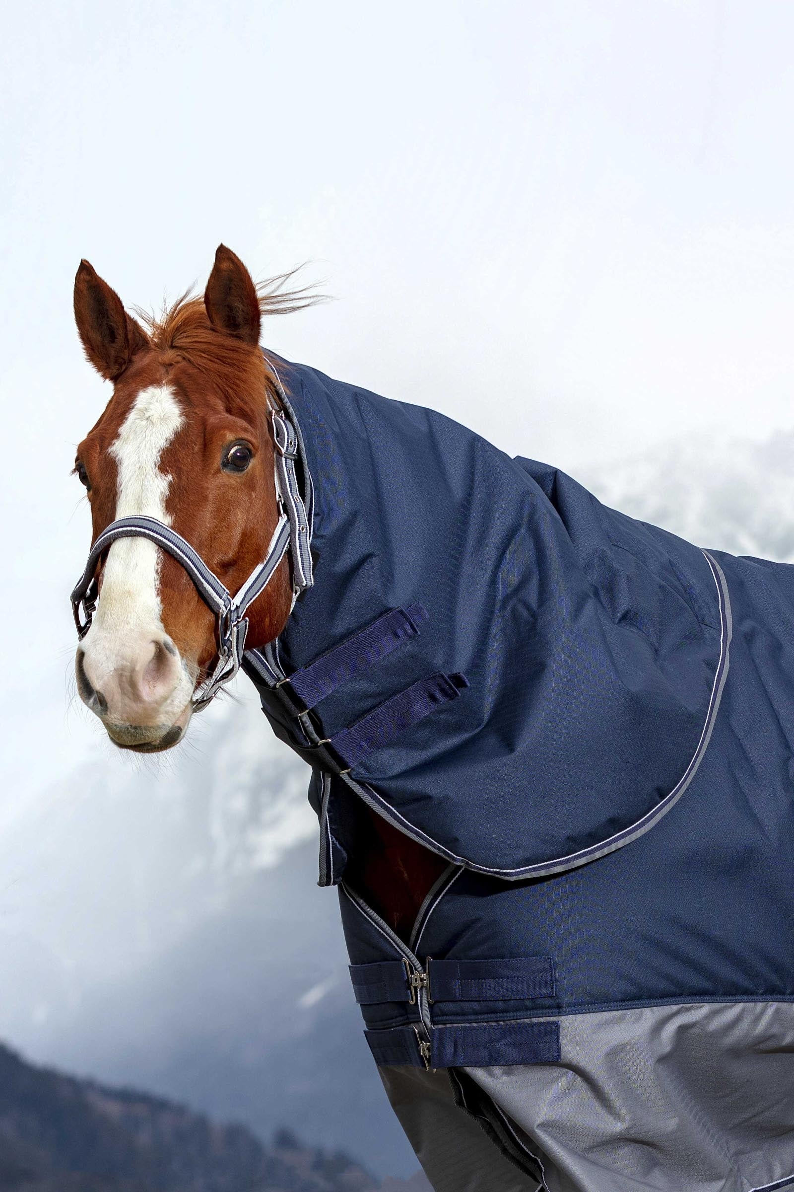 EQUITHÈME TYREX 600D Neck Cover, 200 g Horse Rugs