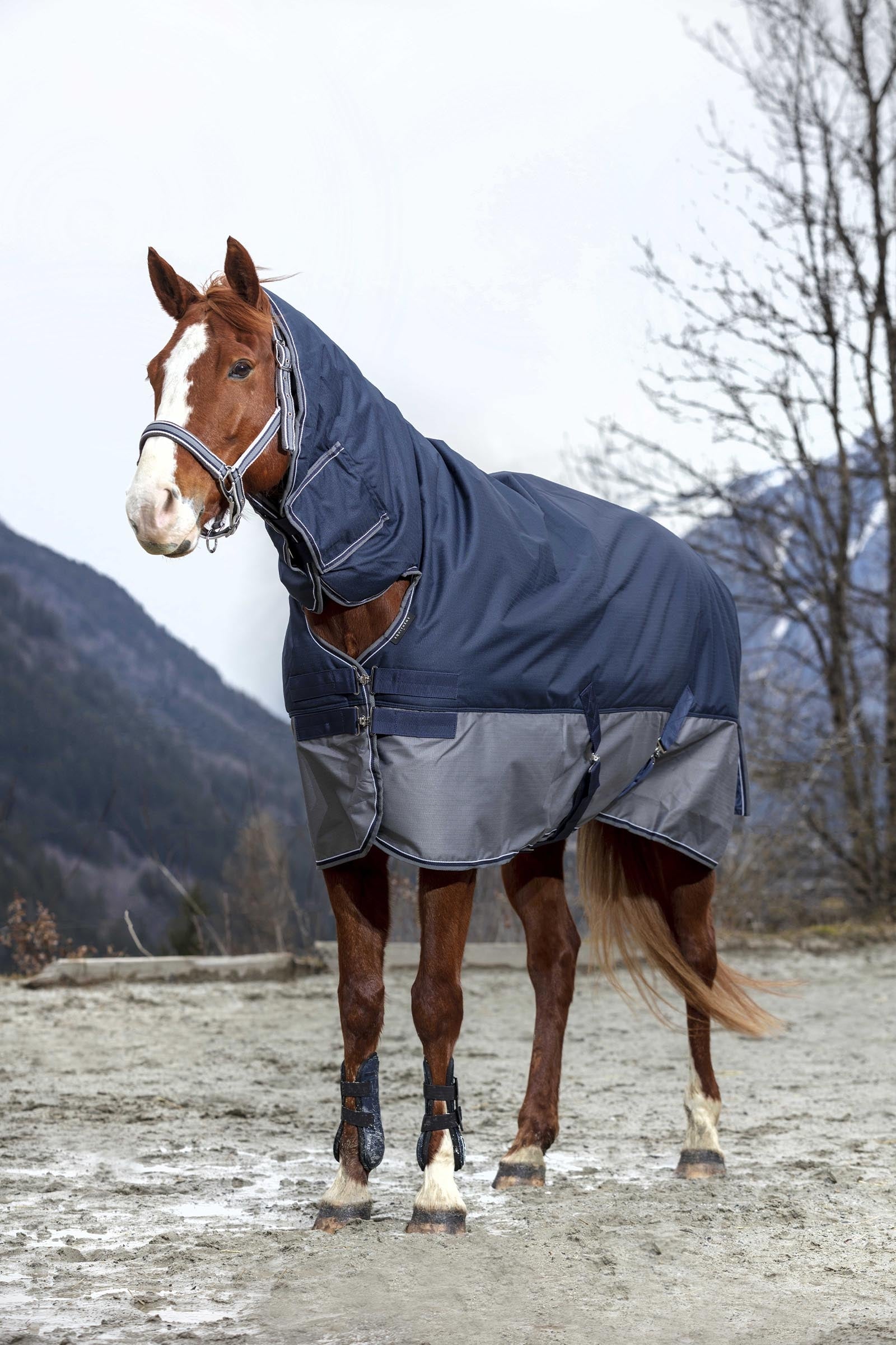 EQUITHÈME TYREX 600D Combo Rug, 350 g Horse Rugs