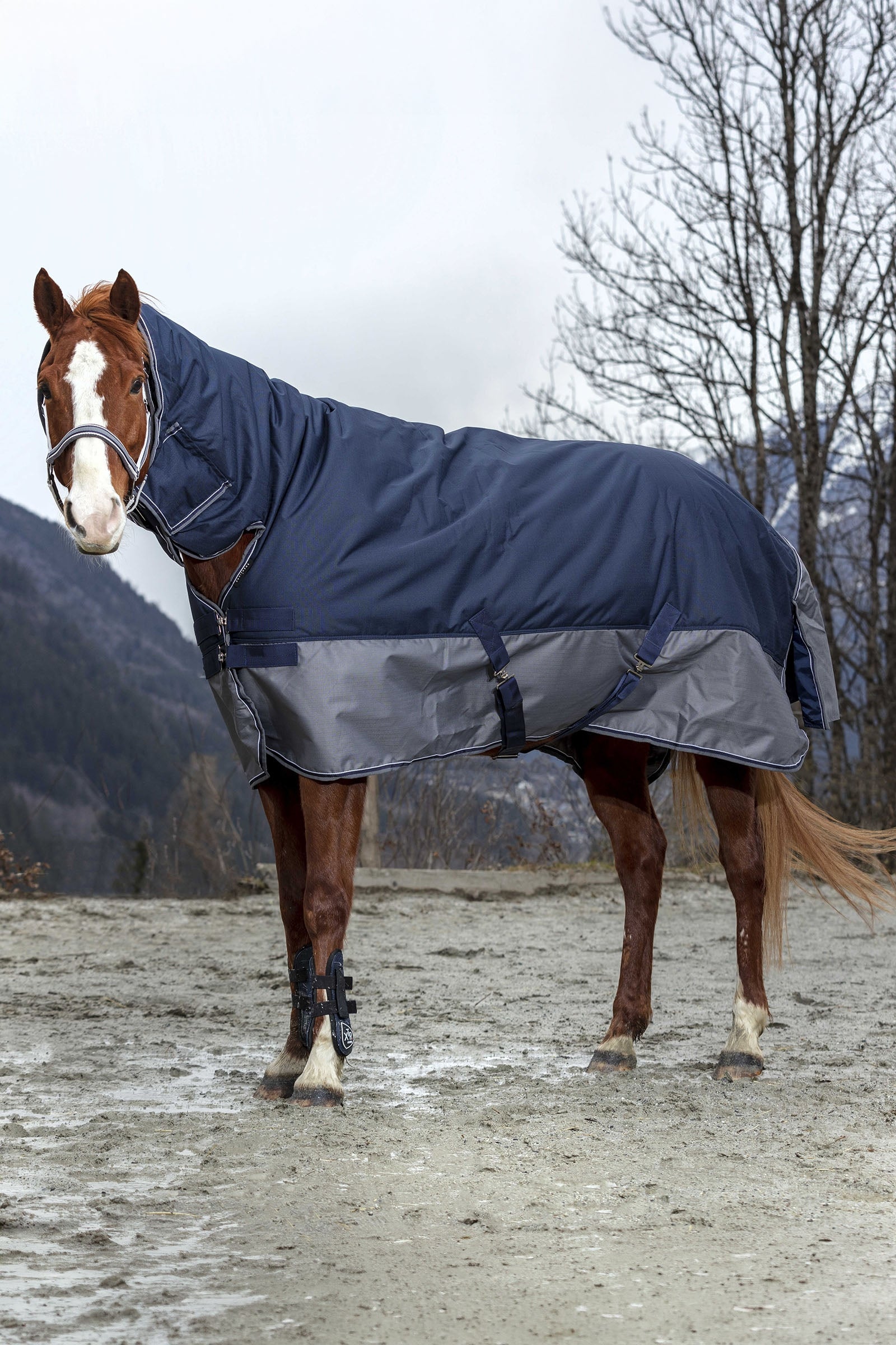 EQUITHÈME TYREX 600D Combo Rug, 350 g Horse Rugs