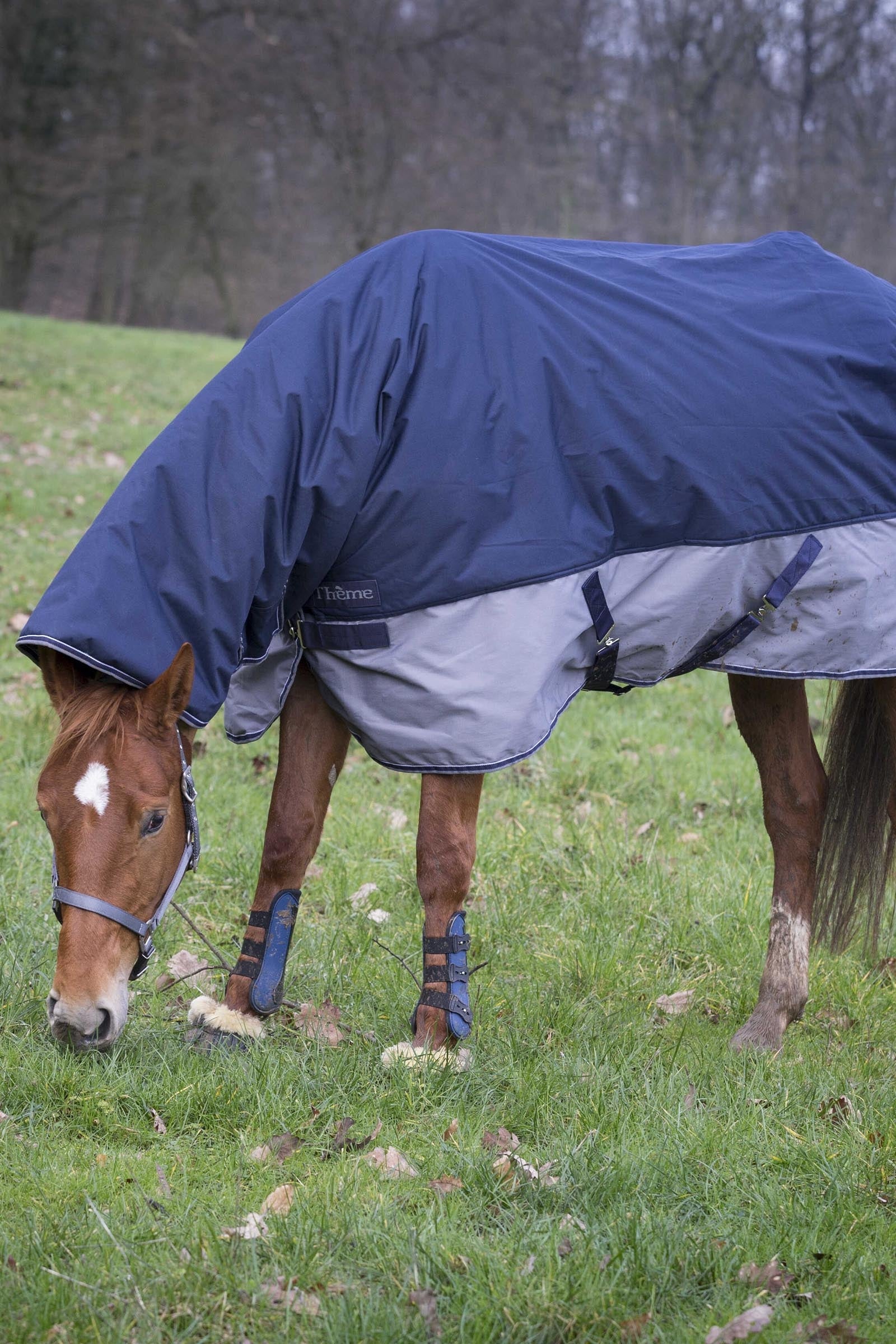 EQUITHÈME TYREX 600D Combo Rug, 350 g Horse Rugs