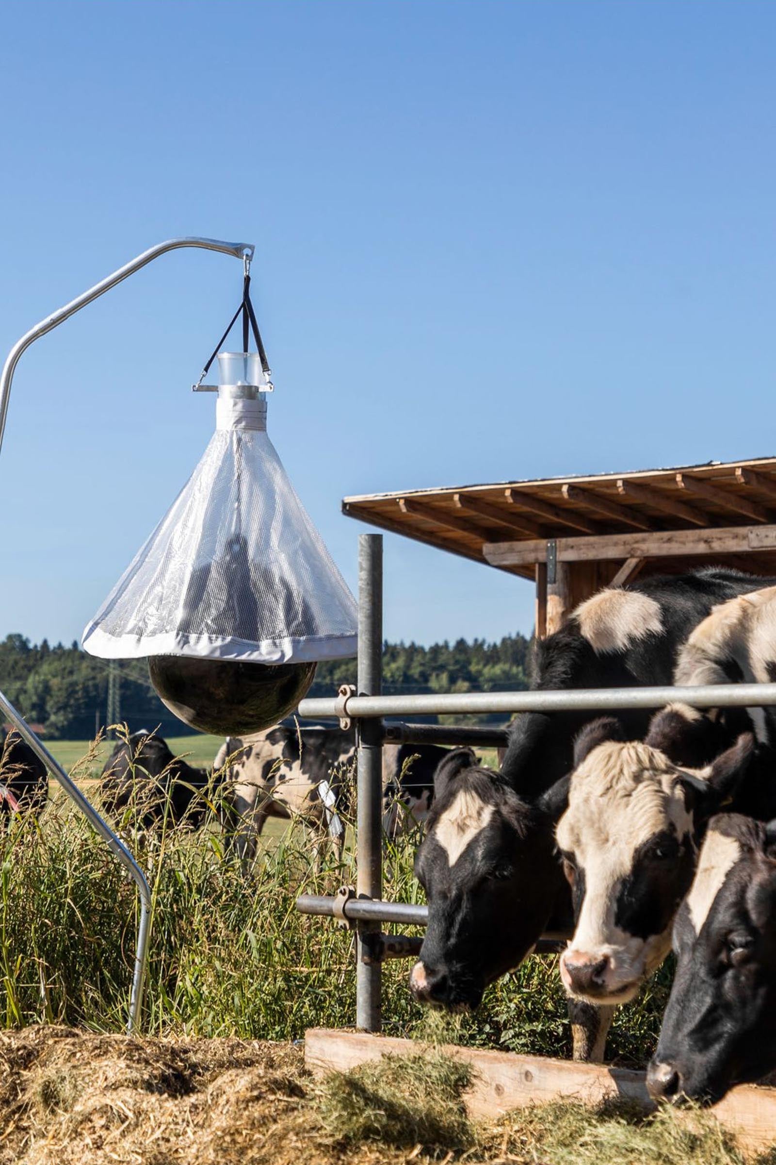 Kerbl Horsefly Trap Taonx Antifly Protection for Horses