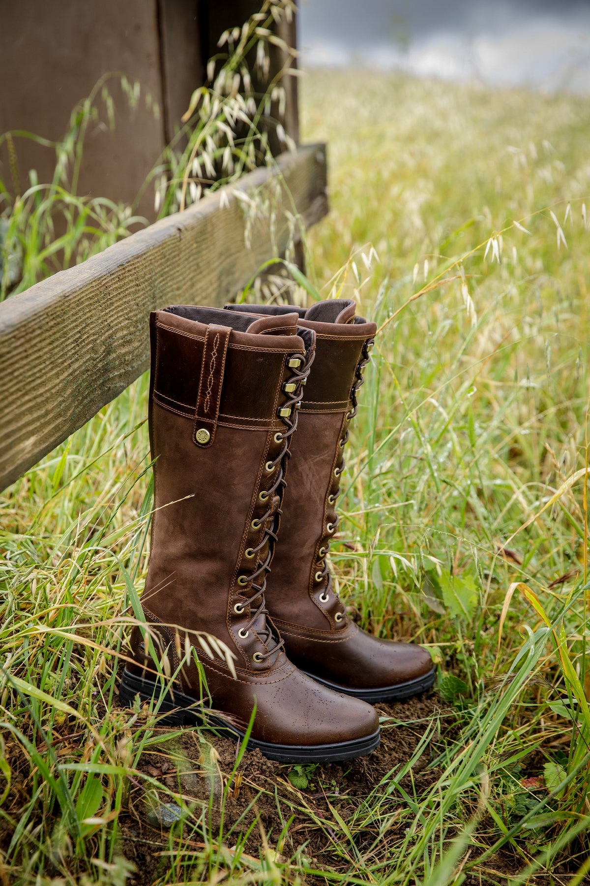 Ariat Women's Wythburn Waterproof Boot Riding Boots & Riding Shoes