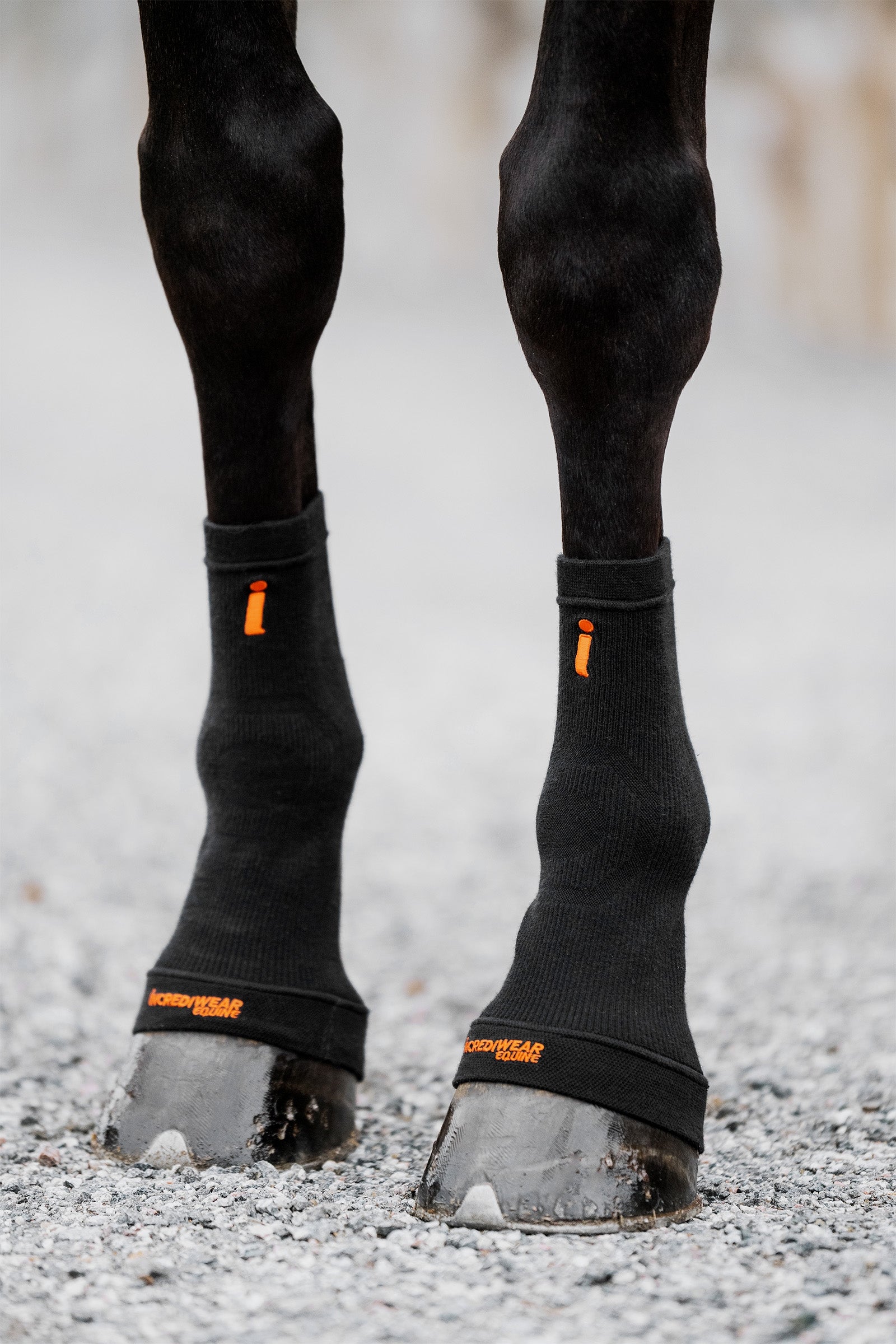 Incrediwear Equine Hoof Socks Leg & Hoof Protection