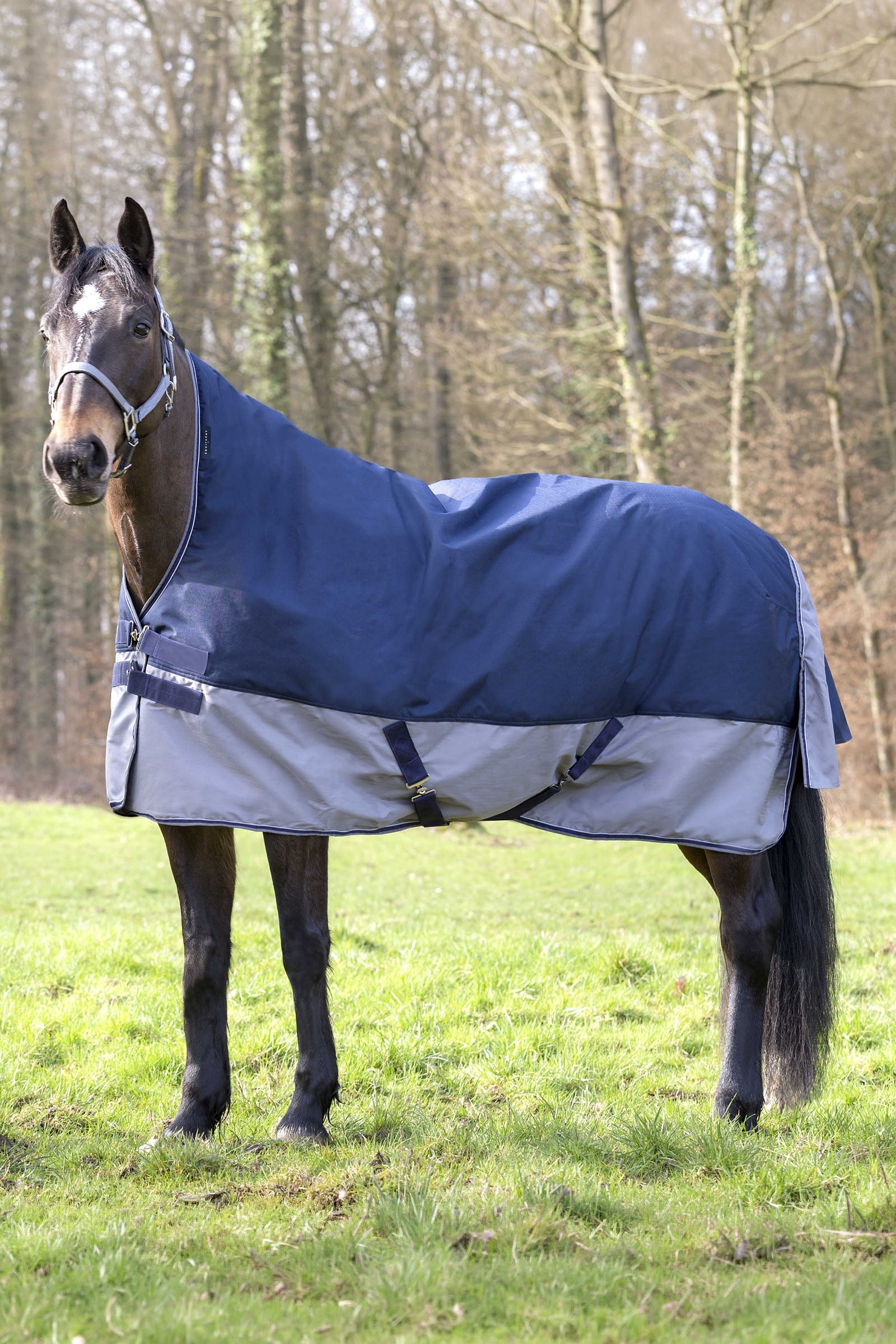 EQUITHÈME TYREX 600D High Neck Rug, 300 g Horse Rugs